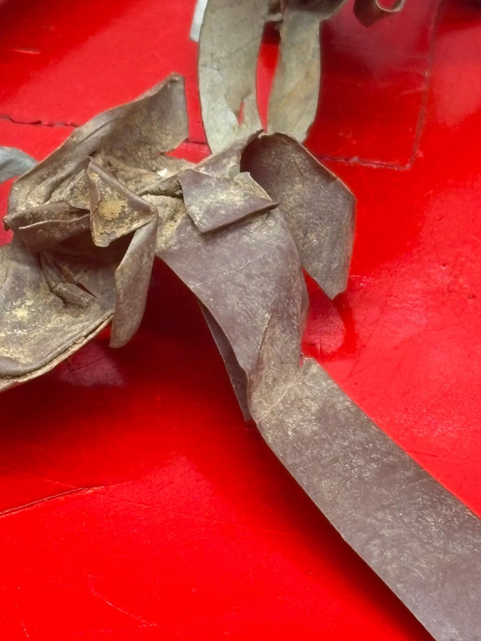 WhatsApp Image 2025-11-20 at 19.04.40 (3).jpeg