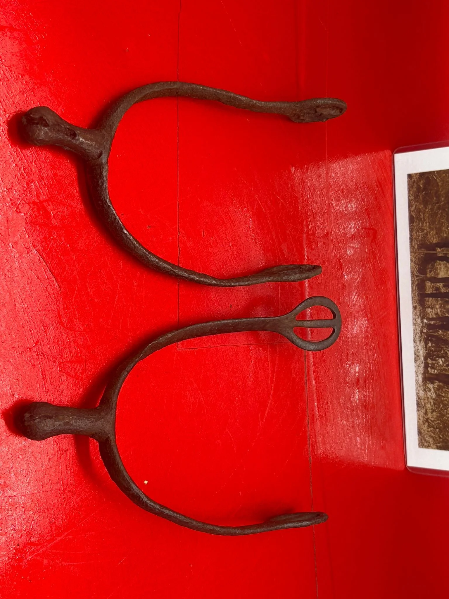 WhatsApp Image 2025-11-11 at 10.22.50.jpeg