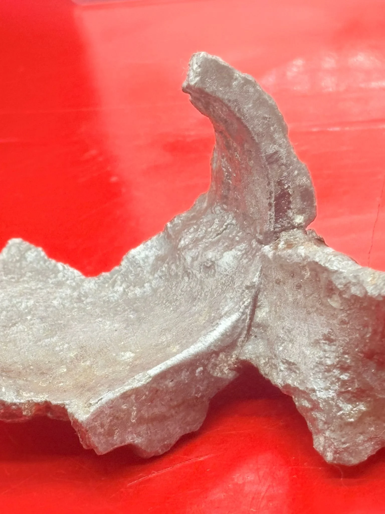 WhatsApp Image 2025-12-08 at 16.42.02 (4).jpeg