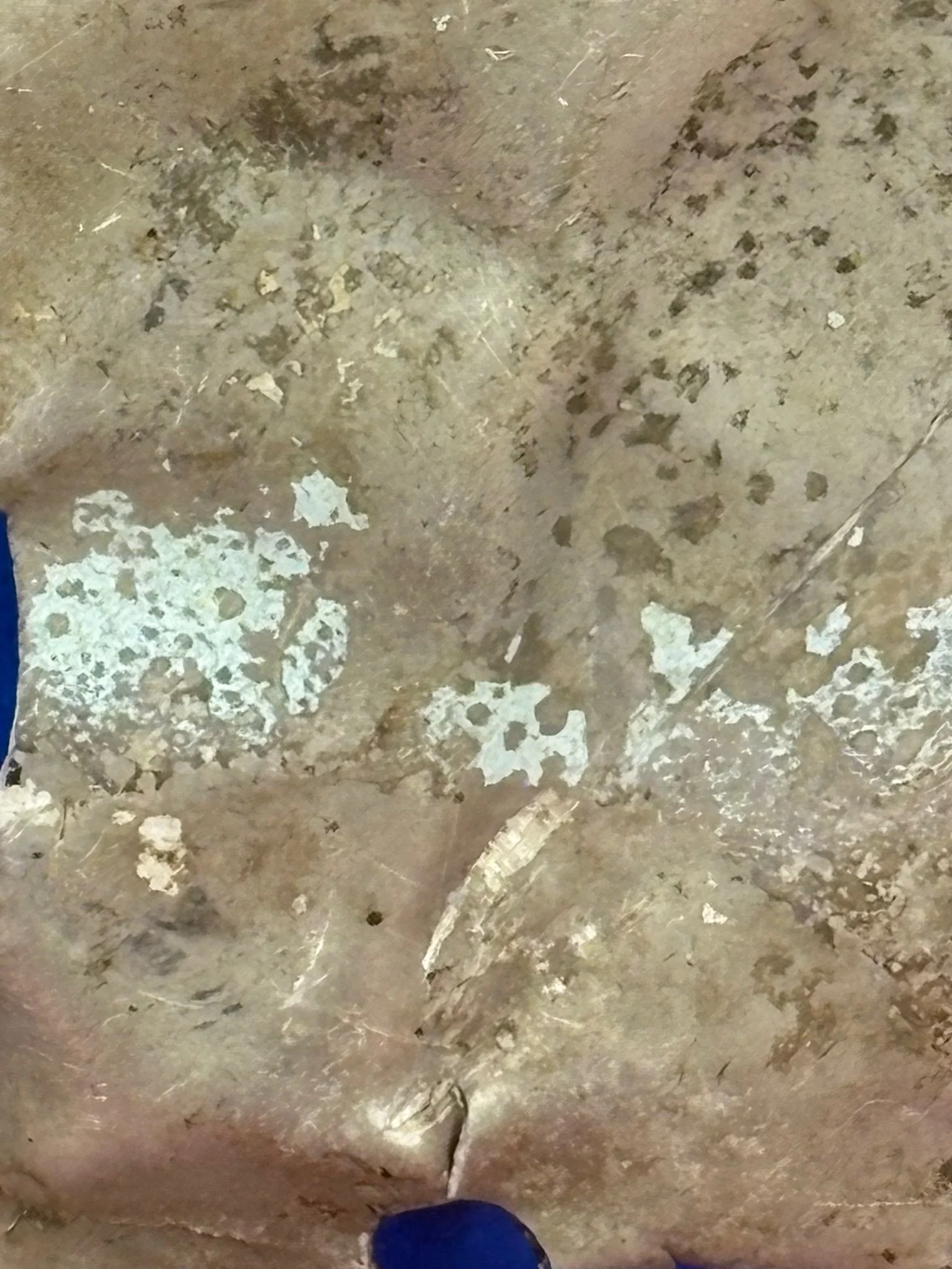 WhatsApp Image 2025-12-01 at 15.40.12 (1).jpeg