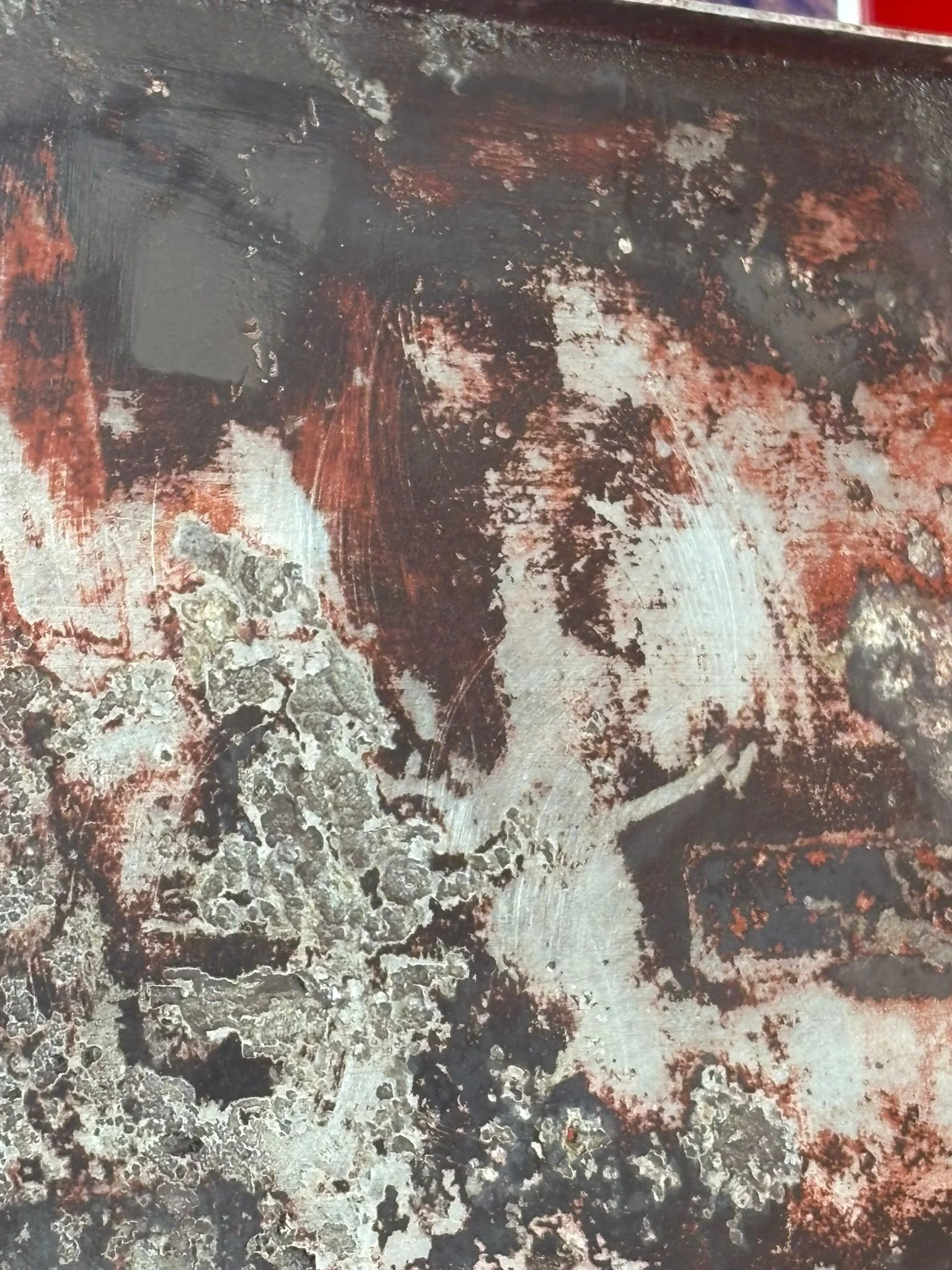 WhatsApp Image 2026-03-12 at 15.27.22.jpeg