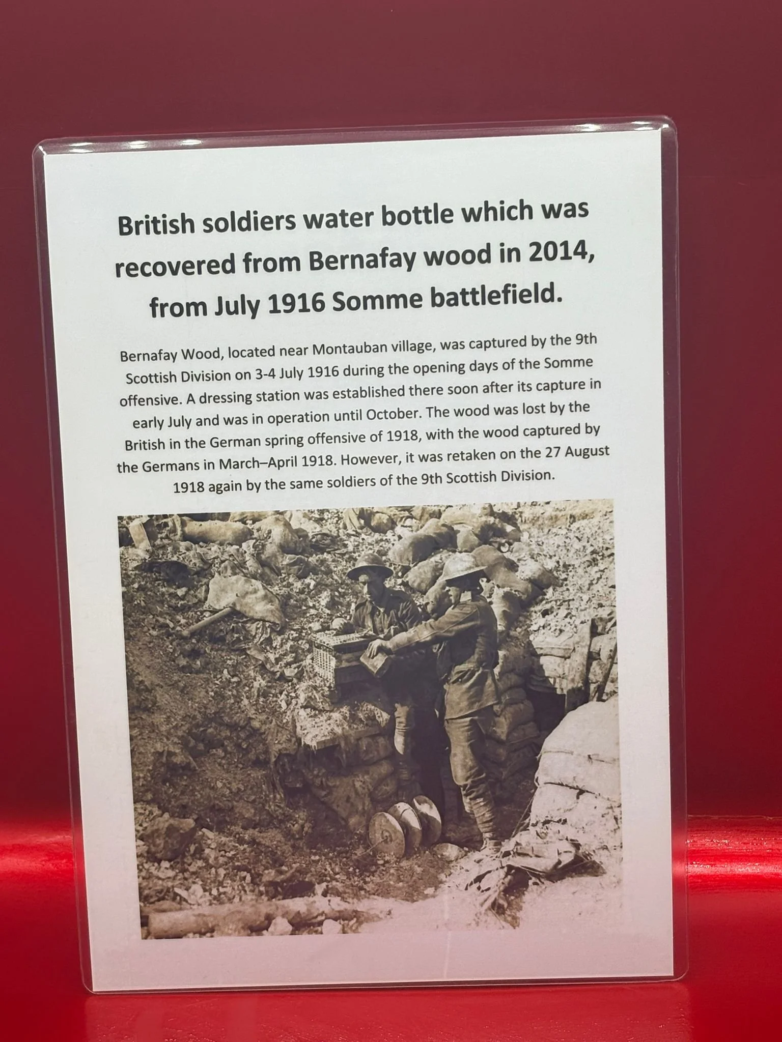 WhatsApp Image 2025-11-11 at 10.18.18 (6).jpeg