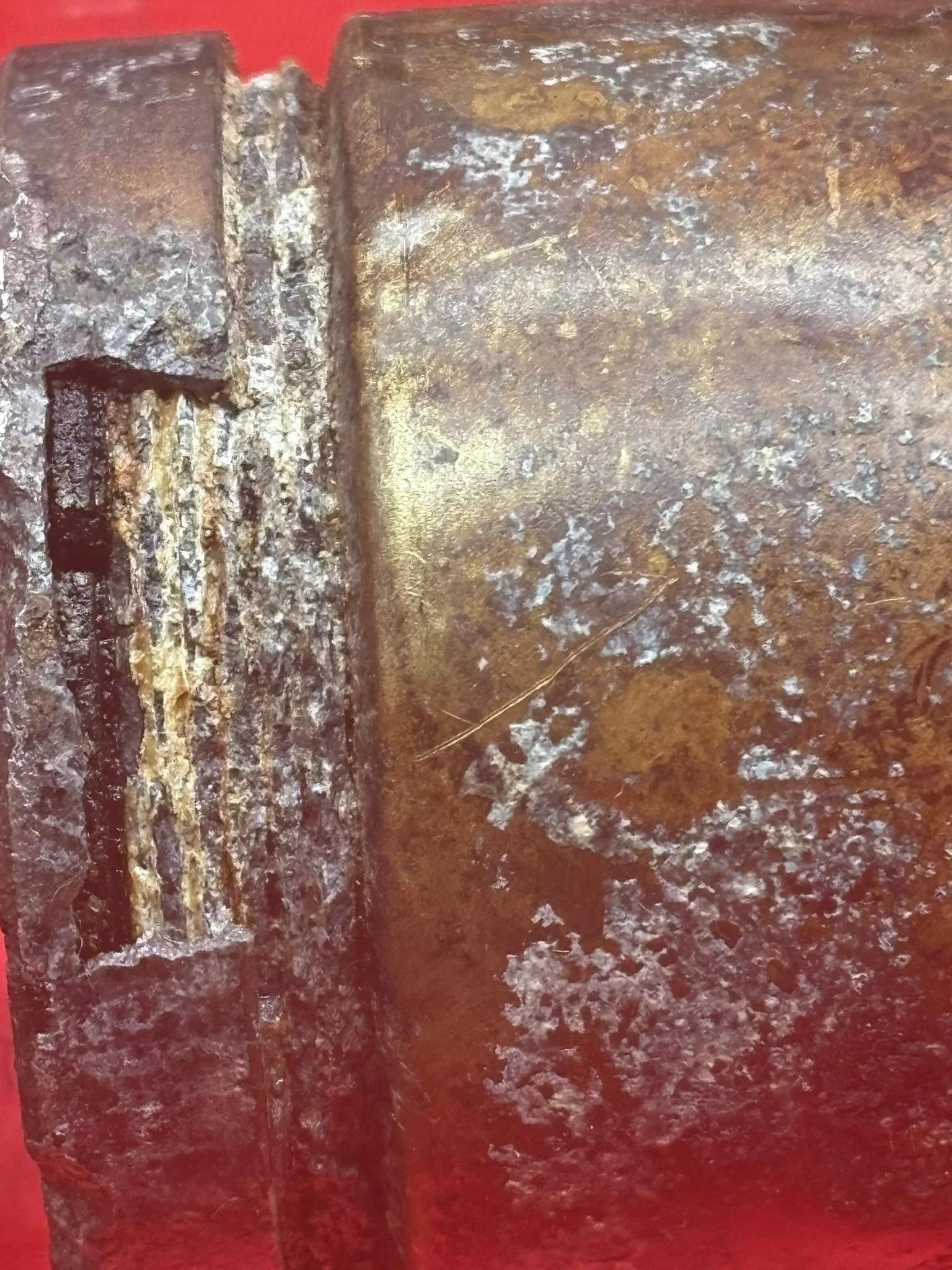 WhatsApp Image 2026-02-13 at 16.31.53 (4).jpeg