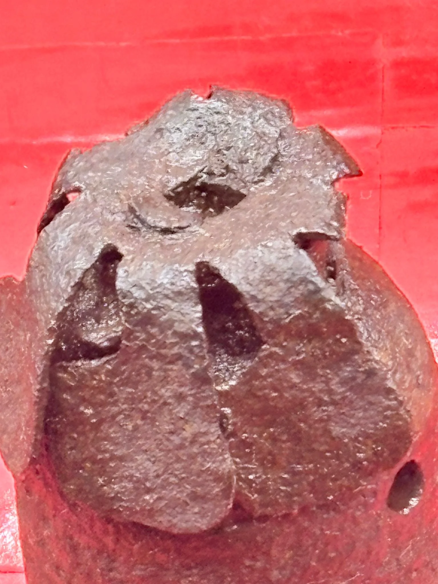 WhatsApp Image 2025-12-08 at 15.32.00 (6).jpeg