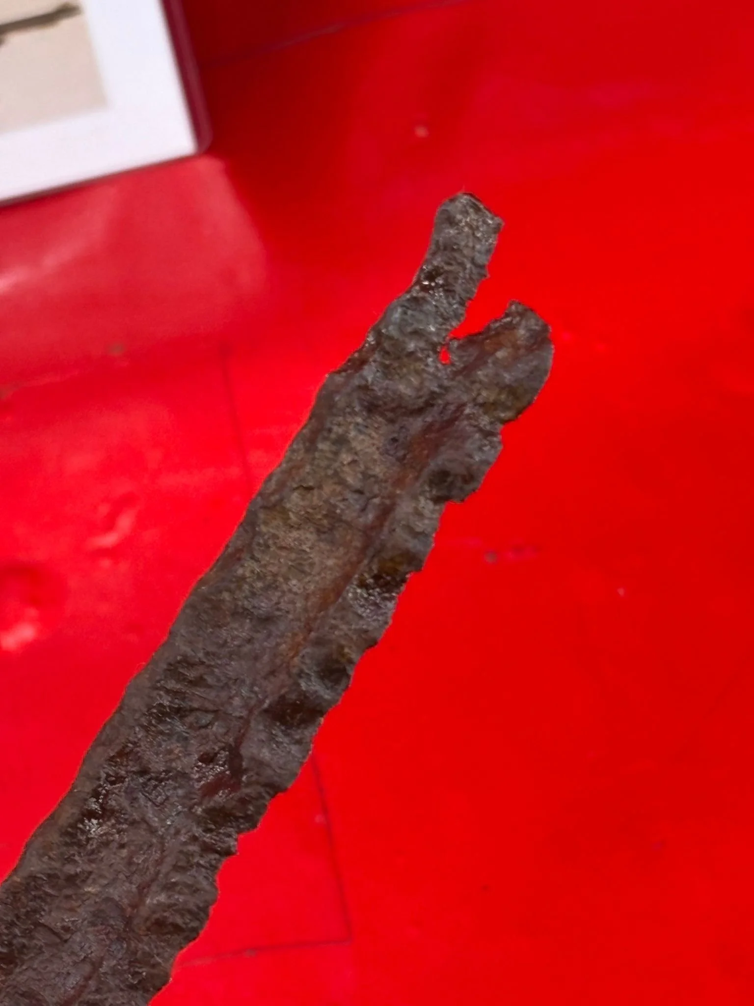 WhatsApp Image 2025-11-16 at 16.03.29.jpeg