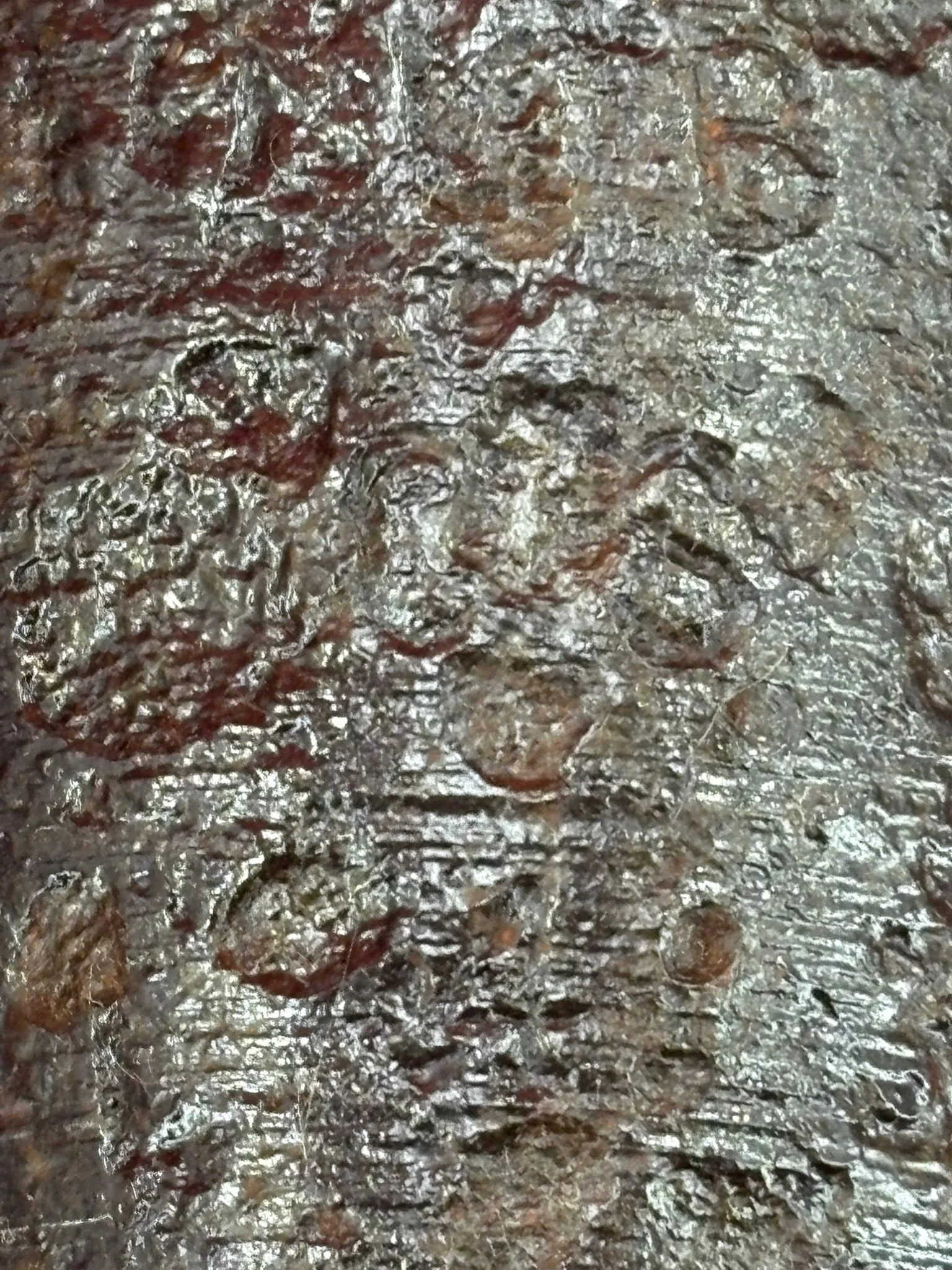 WhatsApp Image 2025-10-27 at 15.44.43 (8).jpeg