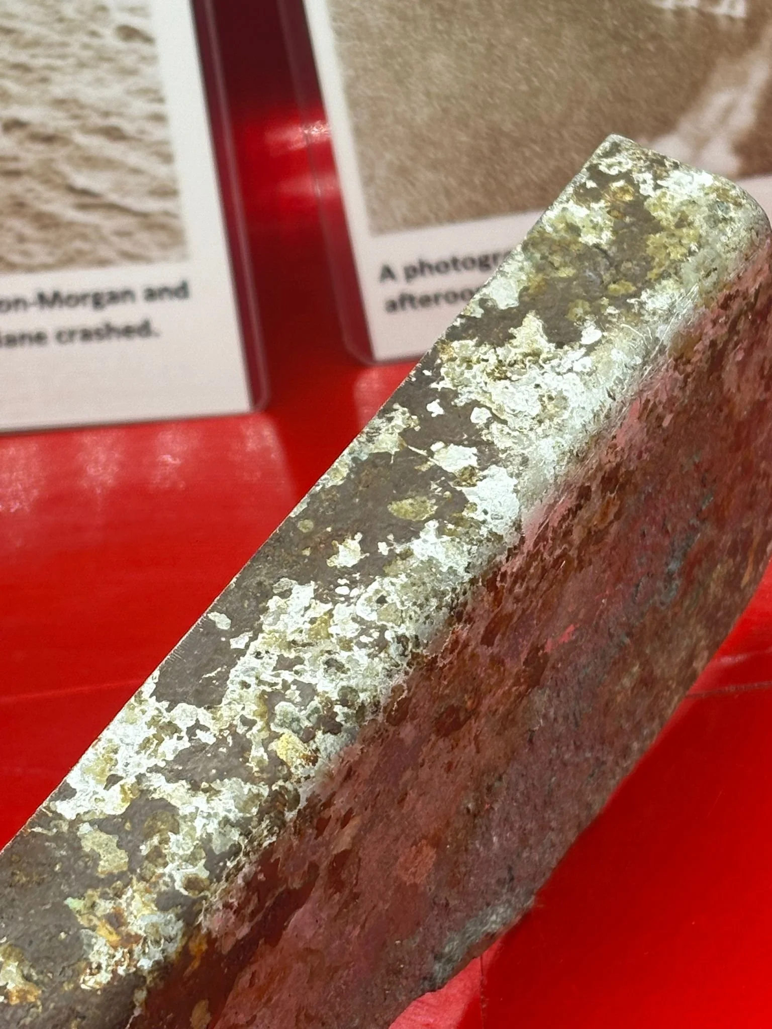 WhatsApp Image 2026-02-10 at 14.59.58 (3).jpeg