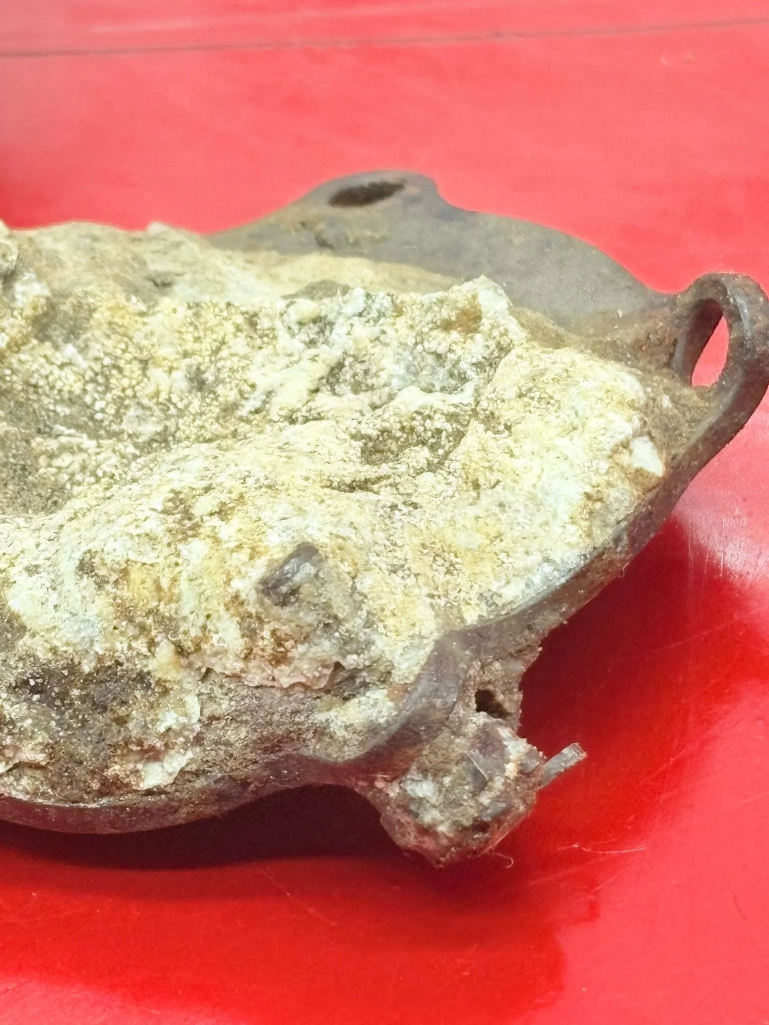 WhatsApp Image 2025-12-08 at 15.42.52 (1).jpeg