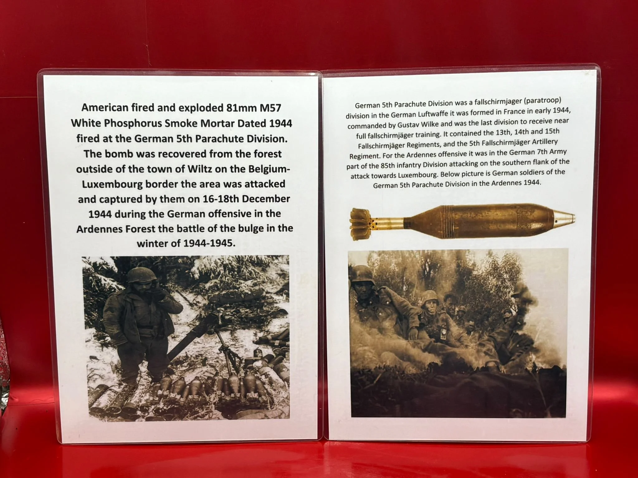 WhatsApp Image 2025-10-24 at 13.39.04 (4).jpeg