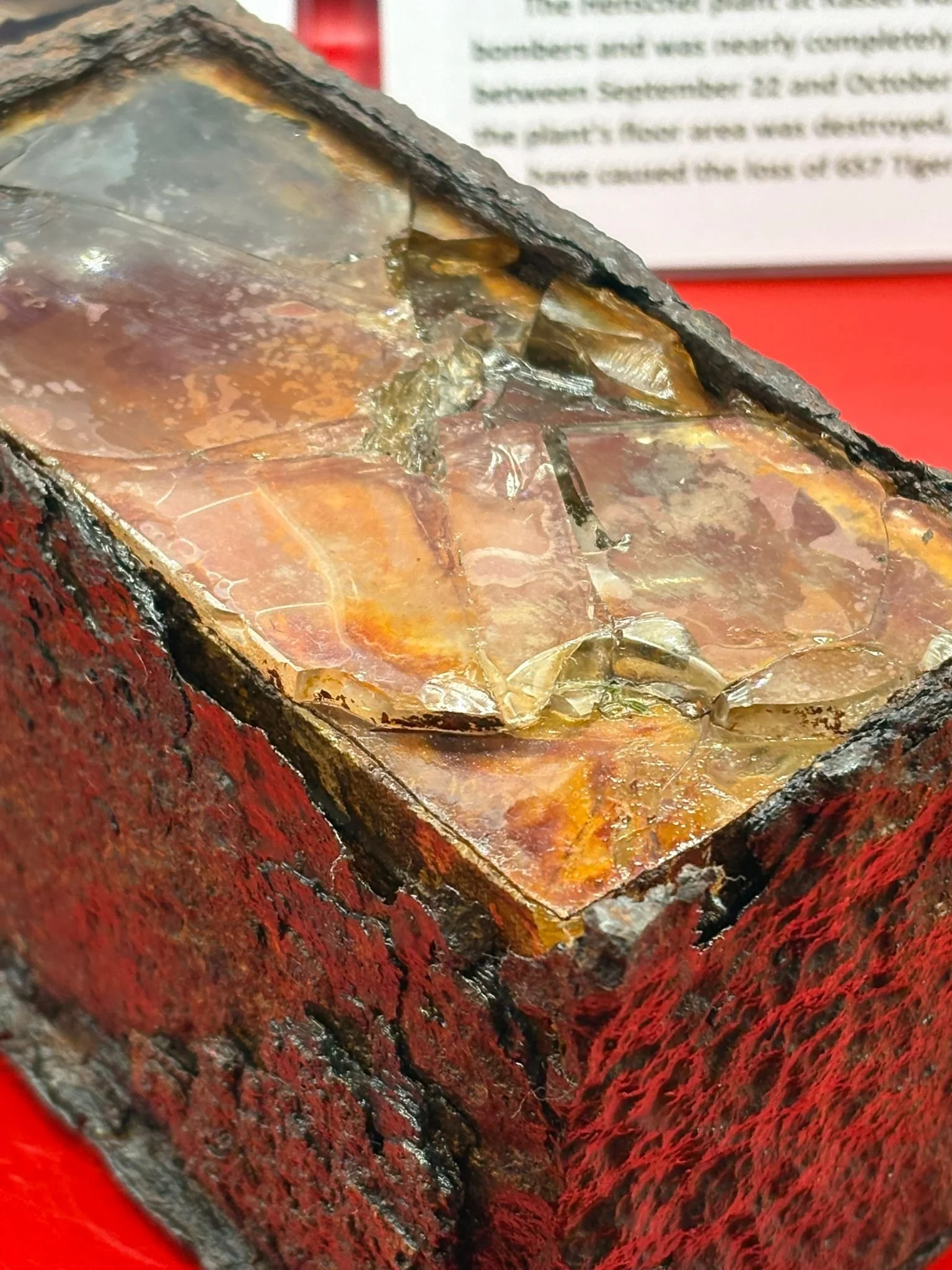 WhatsApp Image 2025-11-24 at 17.04.47.jpeg