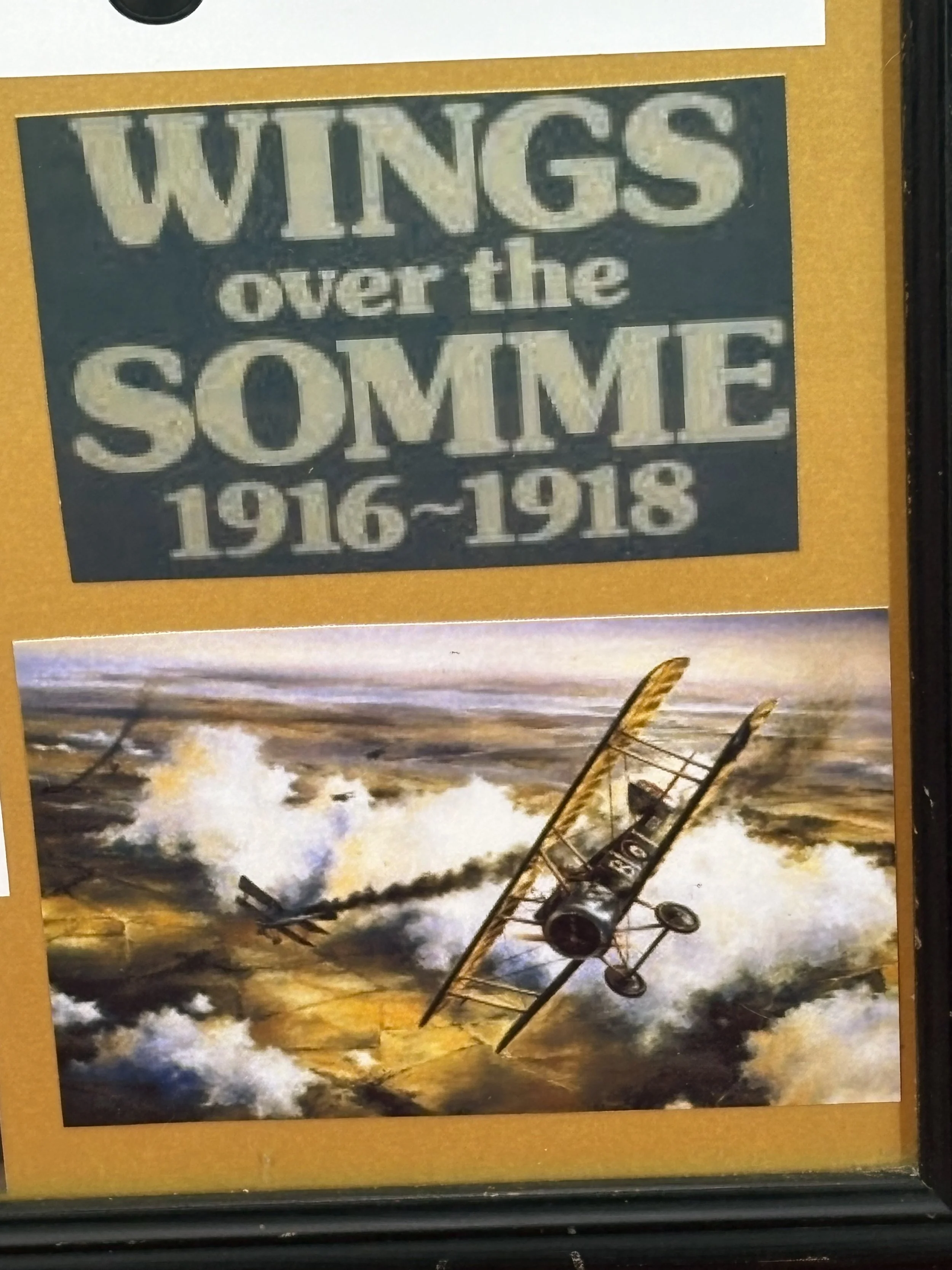 193.JPG