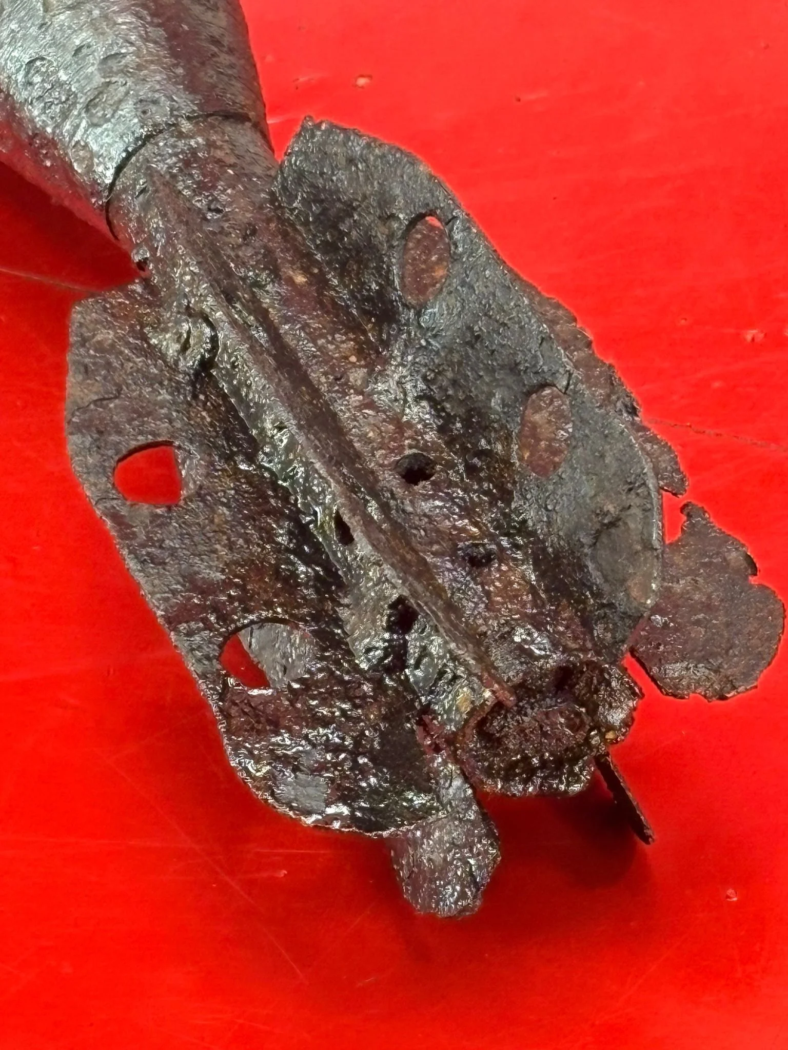 WhatsApp Image 2025-10-27 at 15.44.43 (5).jpeg