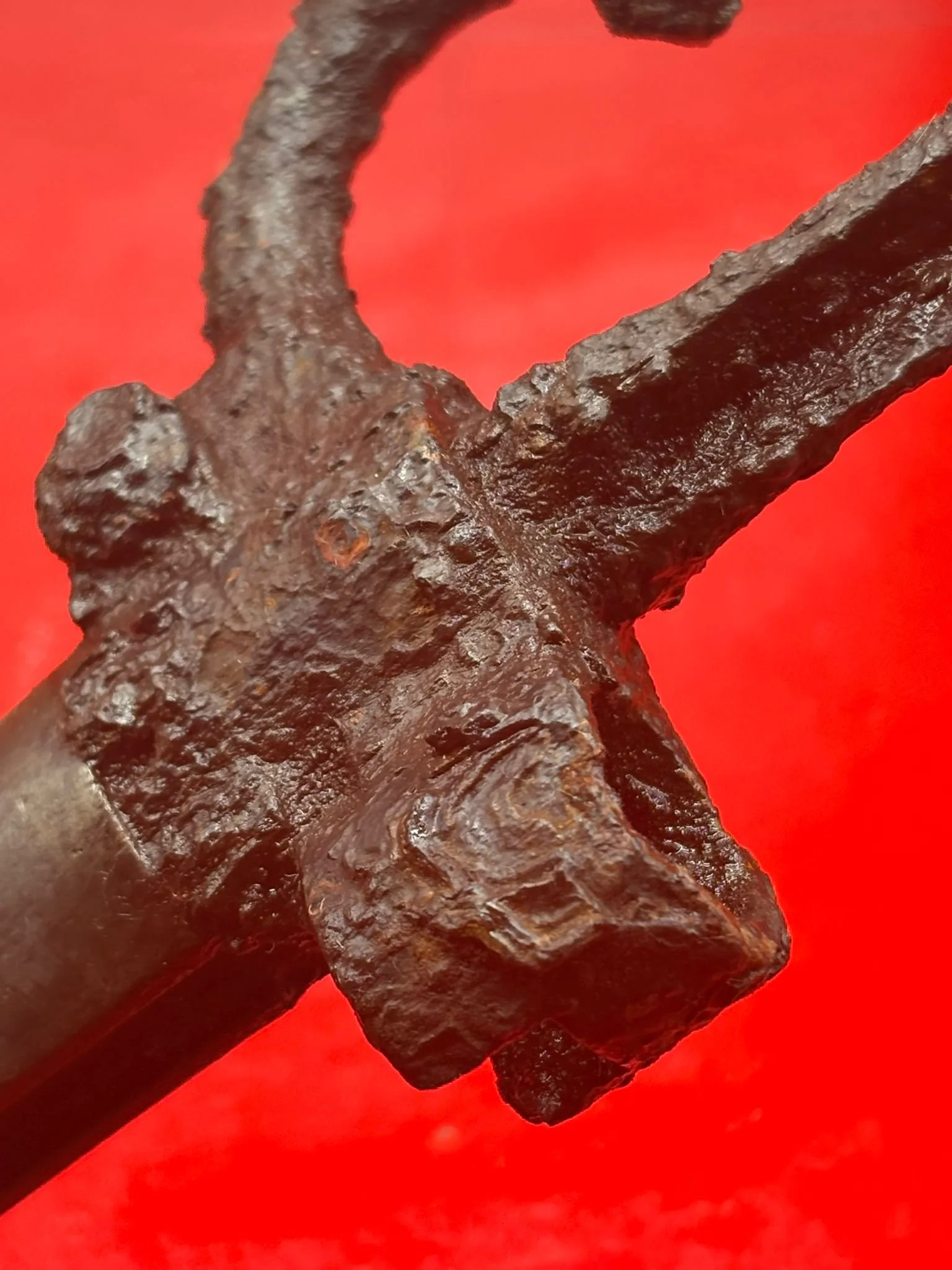 WhatsApp Image 2025-11-16 at 16.05.07.jpeg