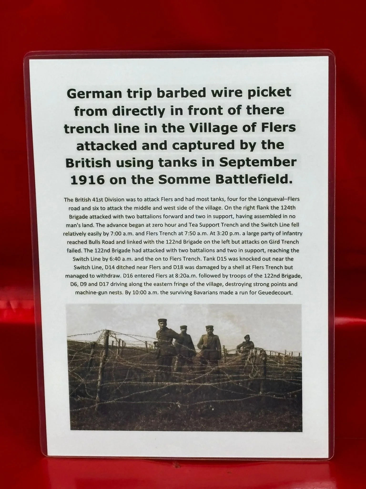 WhatsApp Image 2025-11-16 at 14.16.58 (5).jpeg