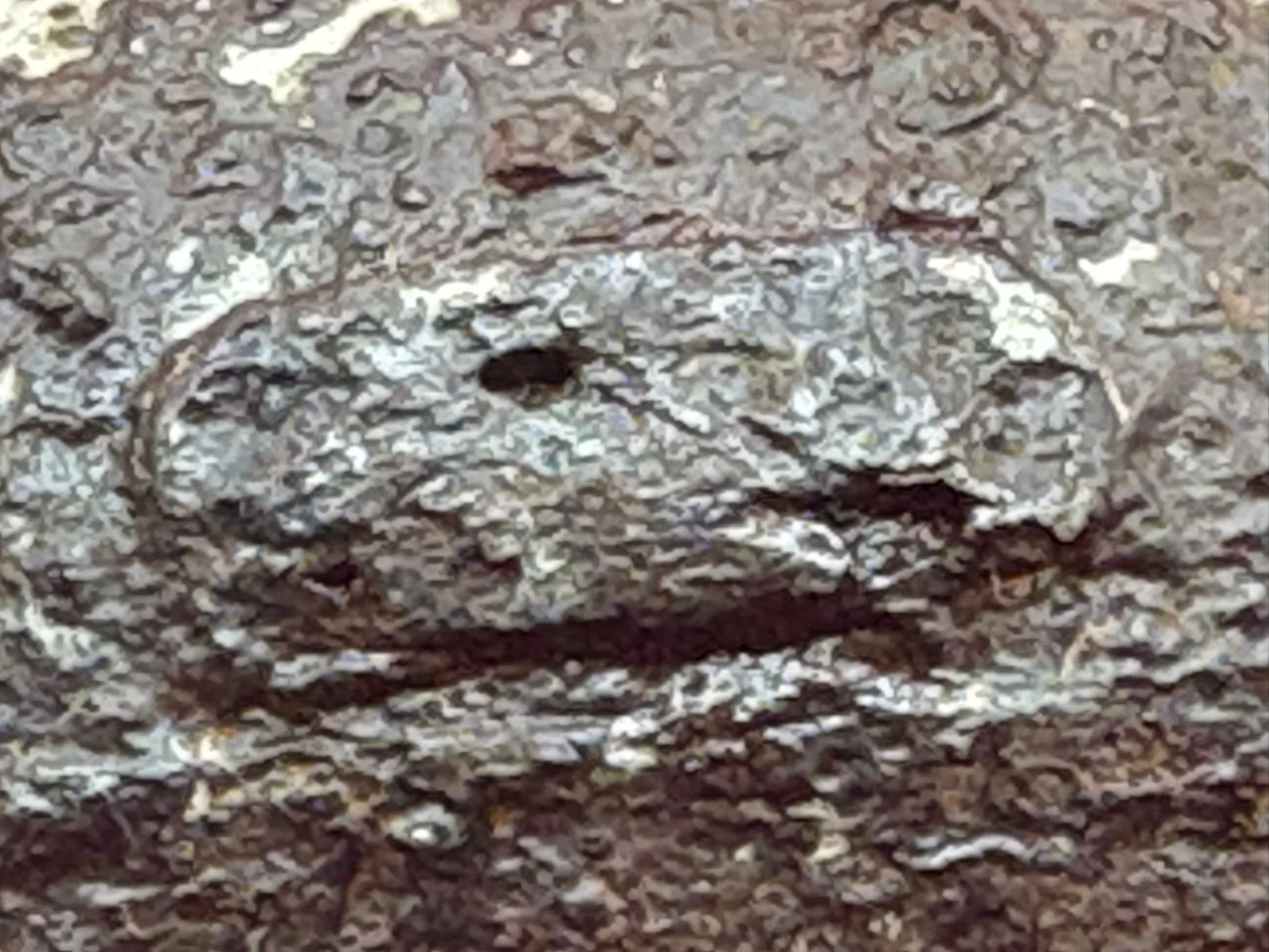 WhatsApp Image 2025-11-11 at 10.24.00 (1).jpeg