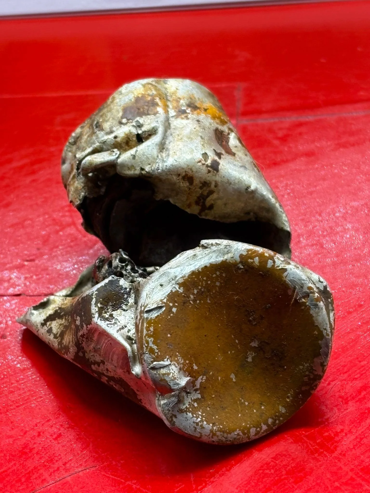 WhatsApp Image 2025-10-22 at 17.38.49.jpeg