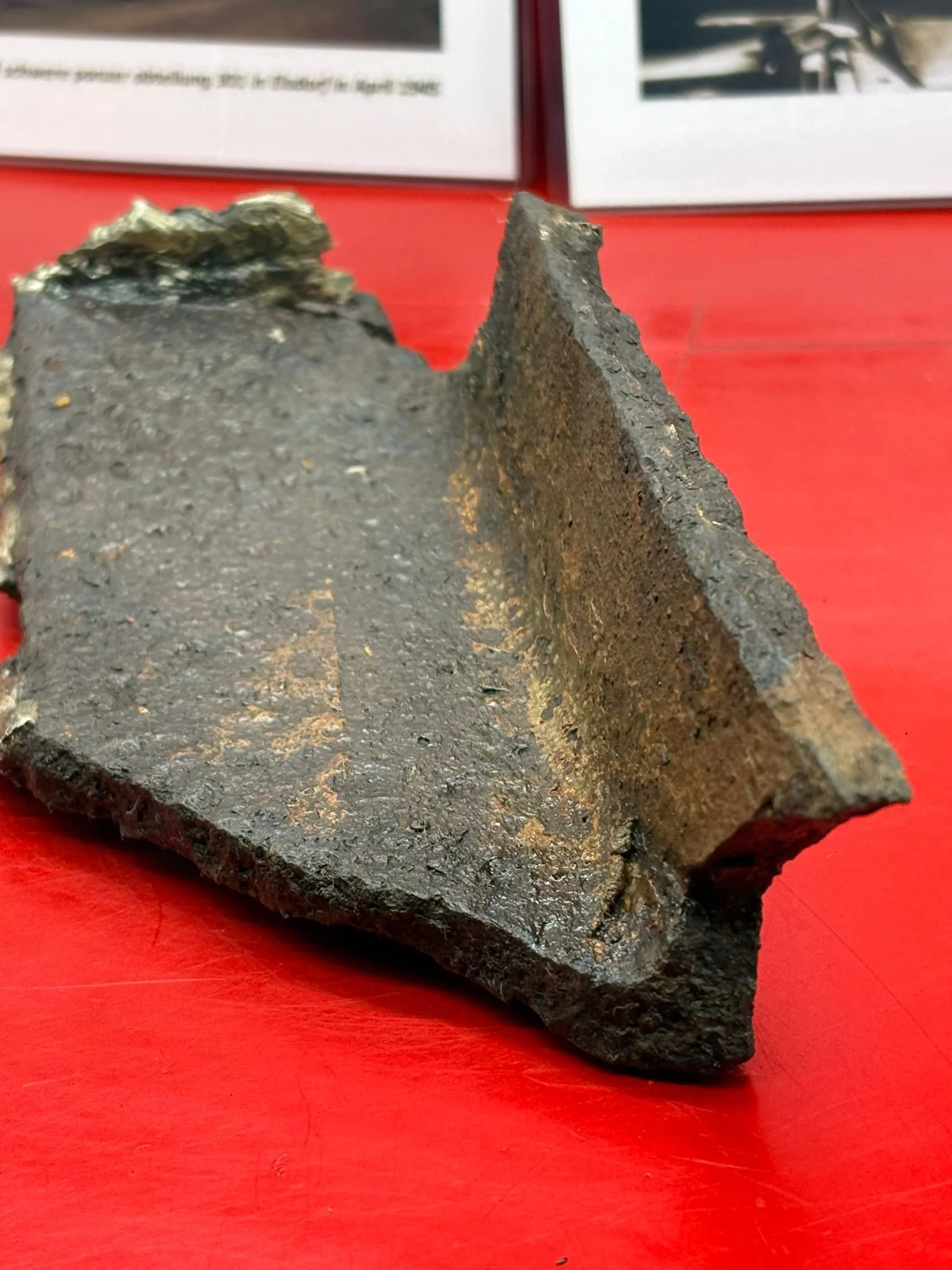 WhatsApp Image 2025-11-24 at 16.54.46 (4).jpeg