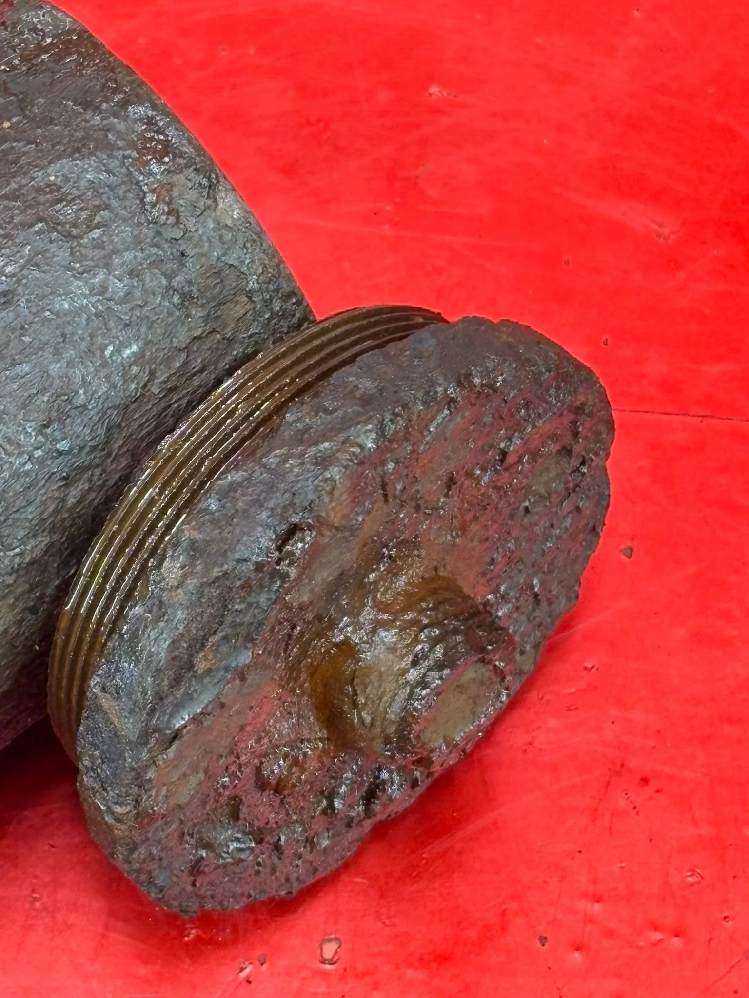 WhatsApp Image 2025-11-16 at 15.52.02 (1).jpeg