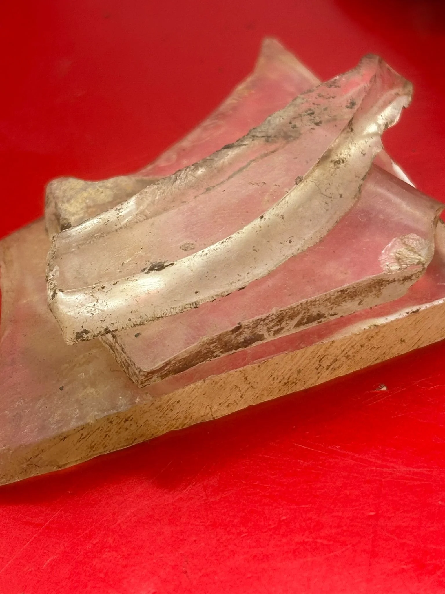 WhatsApp Image 2026-02-13 at 16.06.31.jpeg