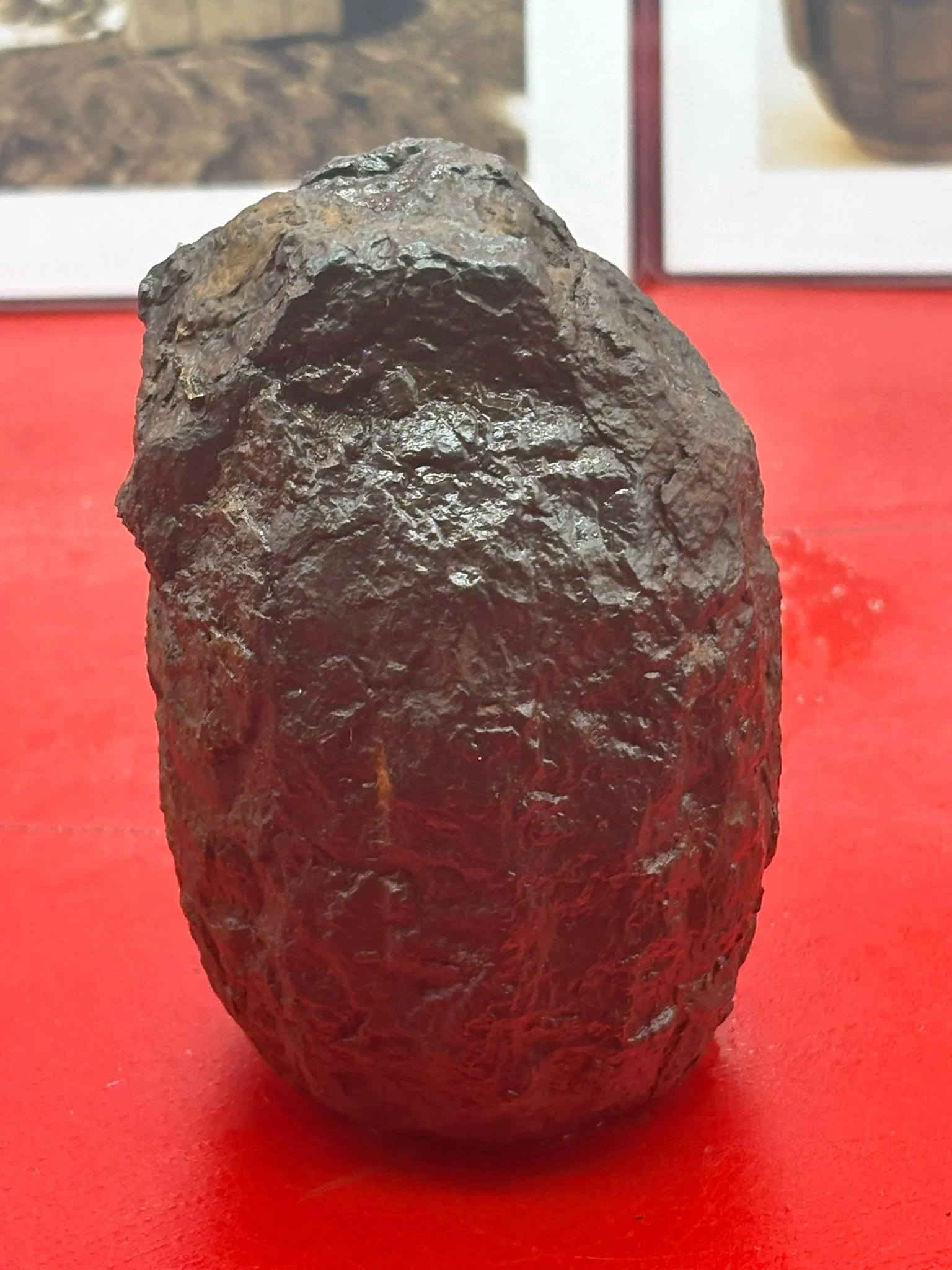 WhatsApp Image 2025-11-16 at 16.10.44 (3).jpeg