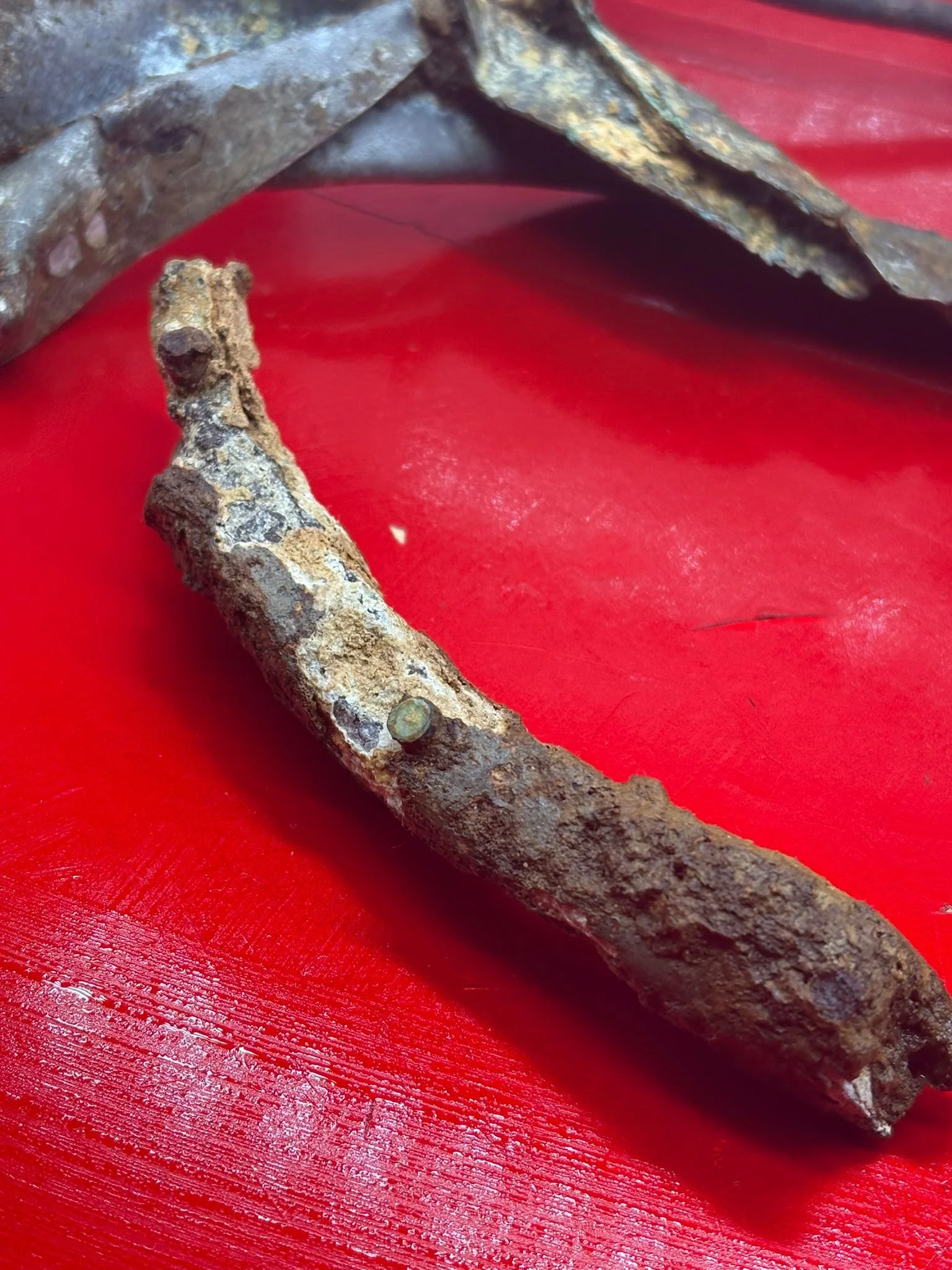 WhatsApp Image 2026-03-12 at 14.21.10 (2).jpeg