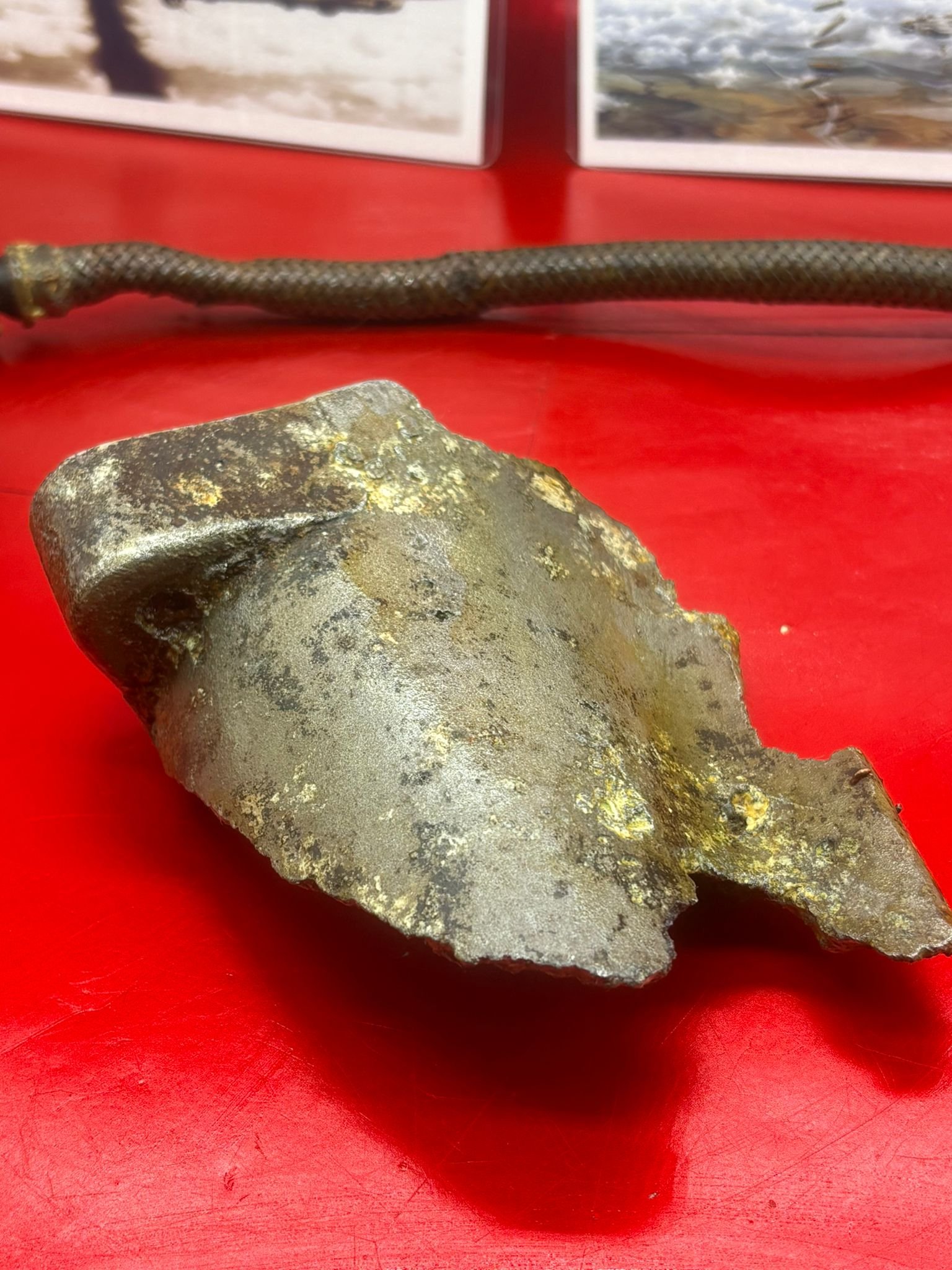 WhatsApp Image 2026-02-13 at 16.14.11 (1).jpeg