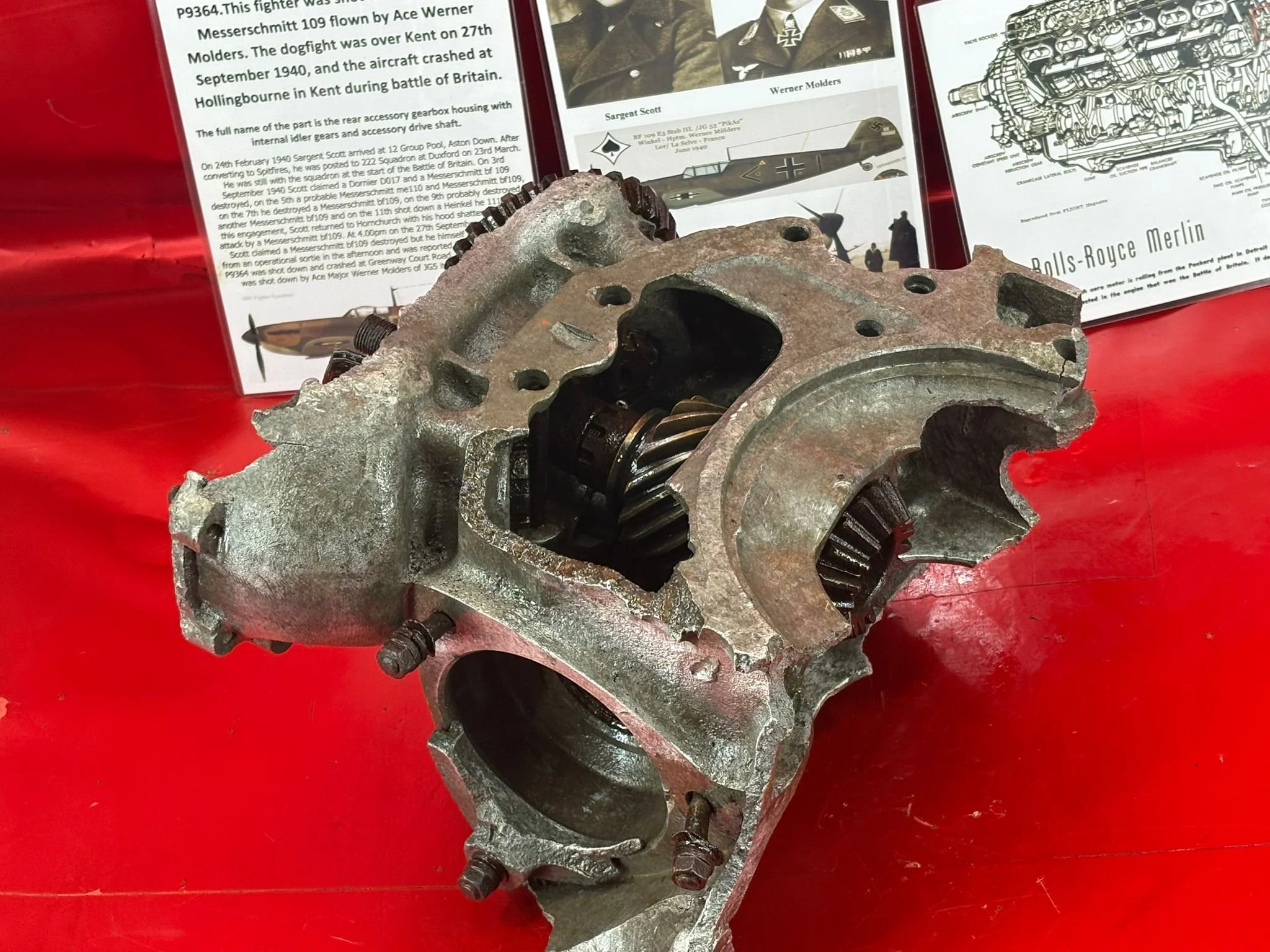 WhatsApp Image 2026-02-10 at 11.56.40 (3).jpeg