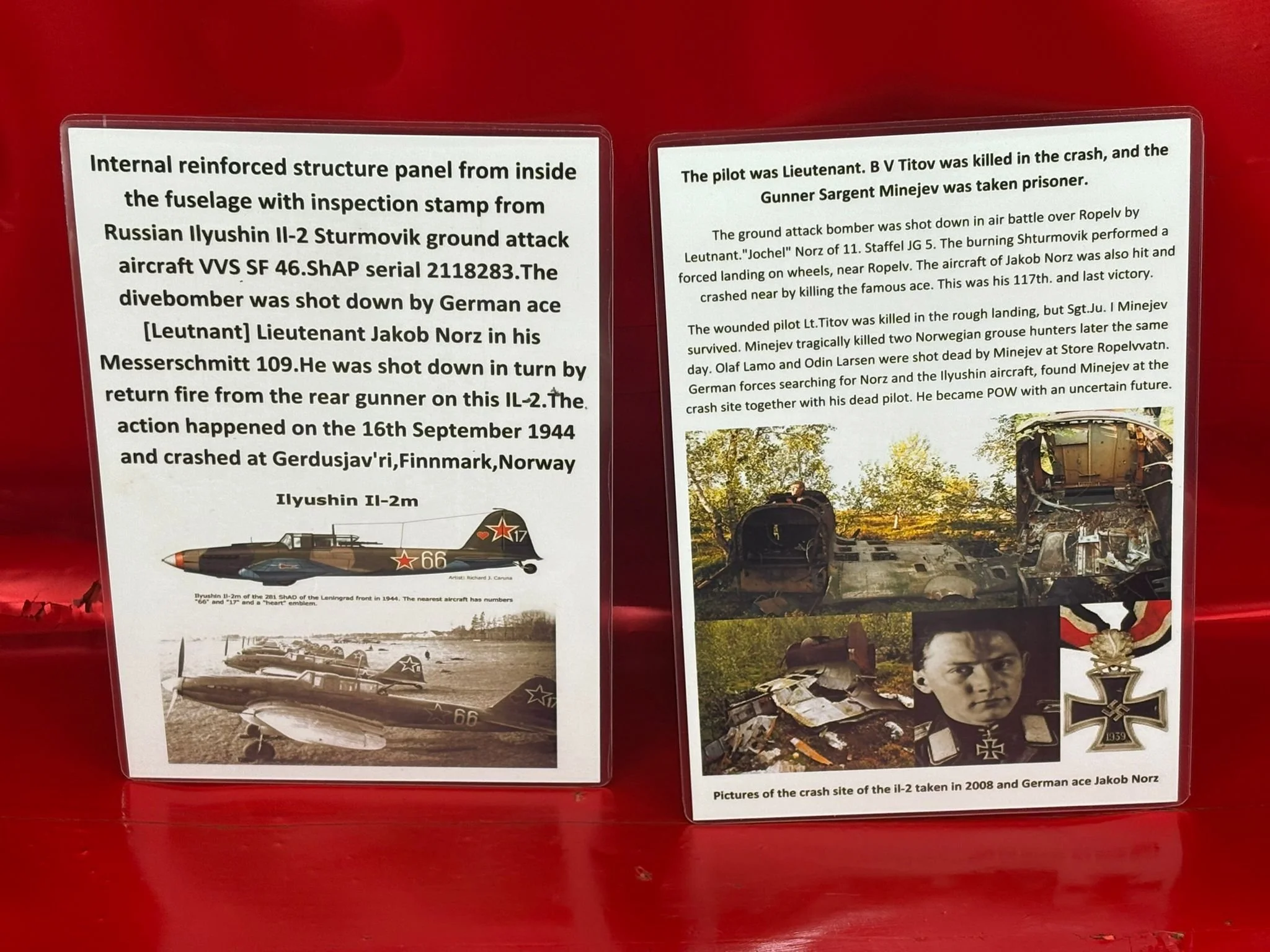 WhatsApp Image 2026-02-10 at 11.47.46.jpeg