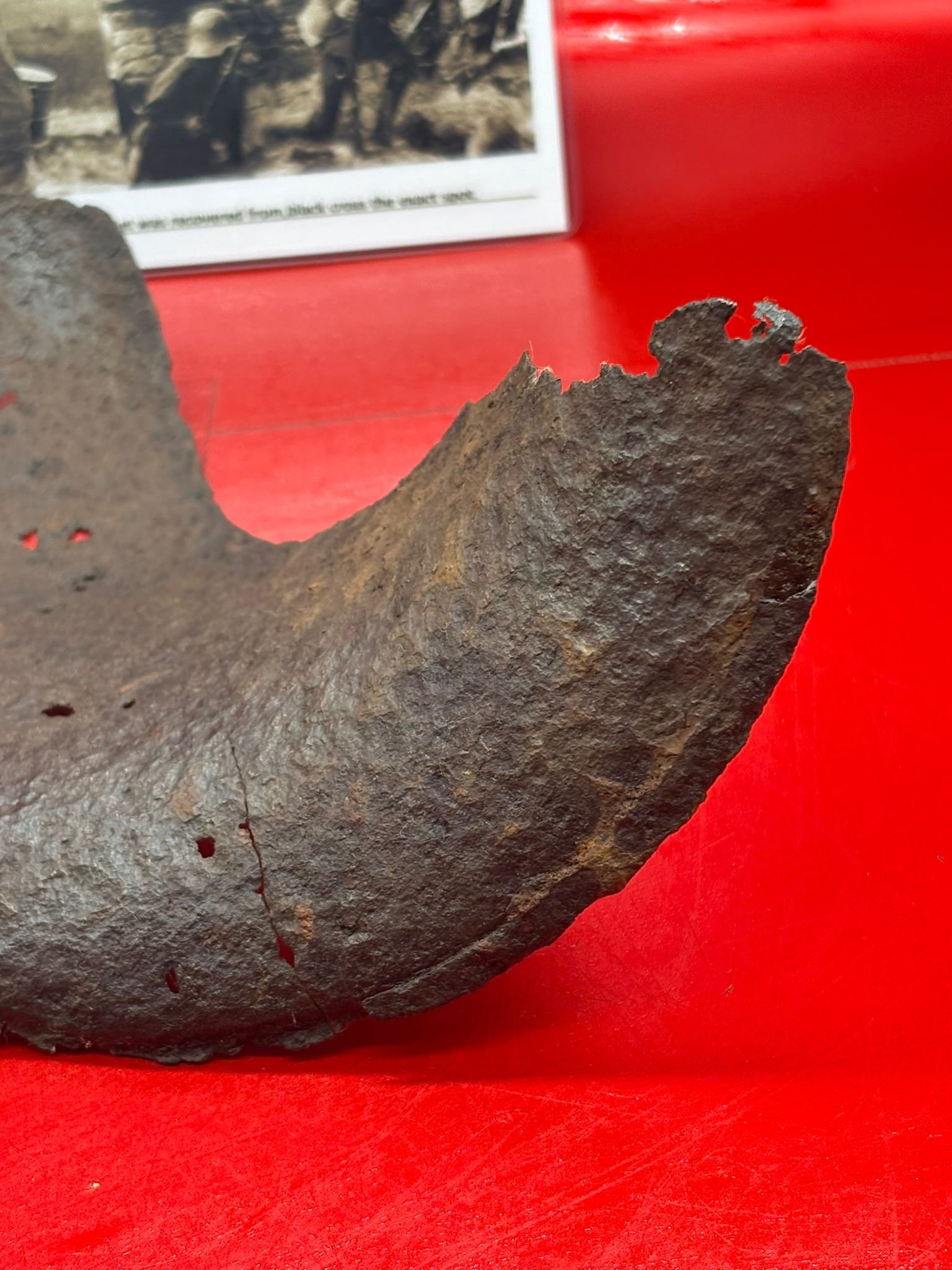 WhatsApp Image 2025-11-12 at 15.03.21 (4).jpeg