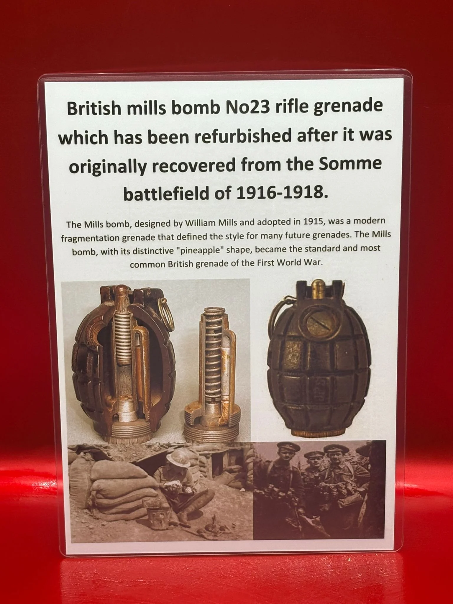 WhatsApp Image 2025-11-16 at 16.07.57 (4).jpeg