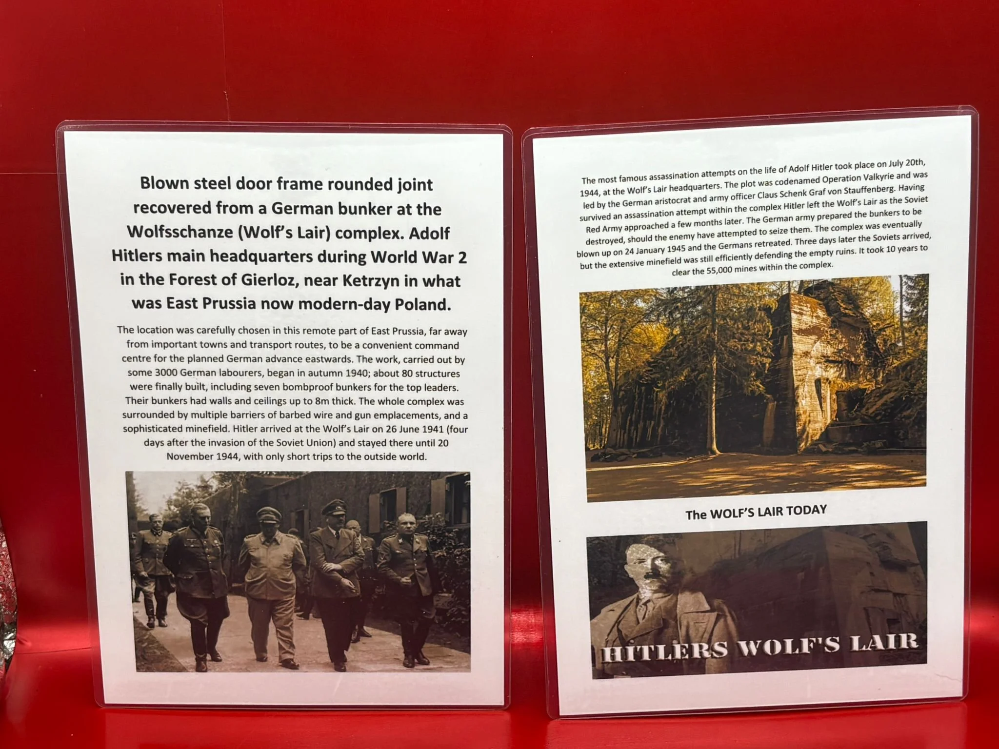 WhatsApp Image 2025-11-20 at 18.49.36 (6).jpeg