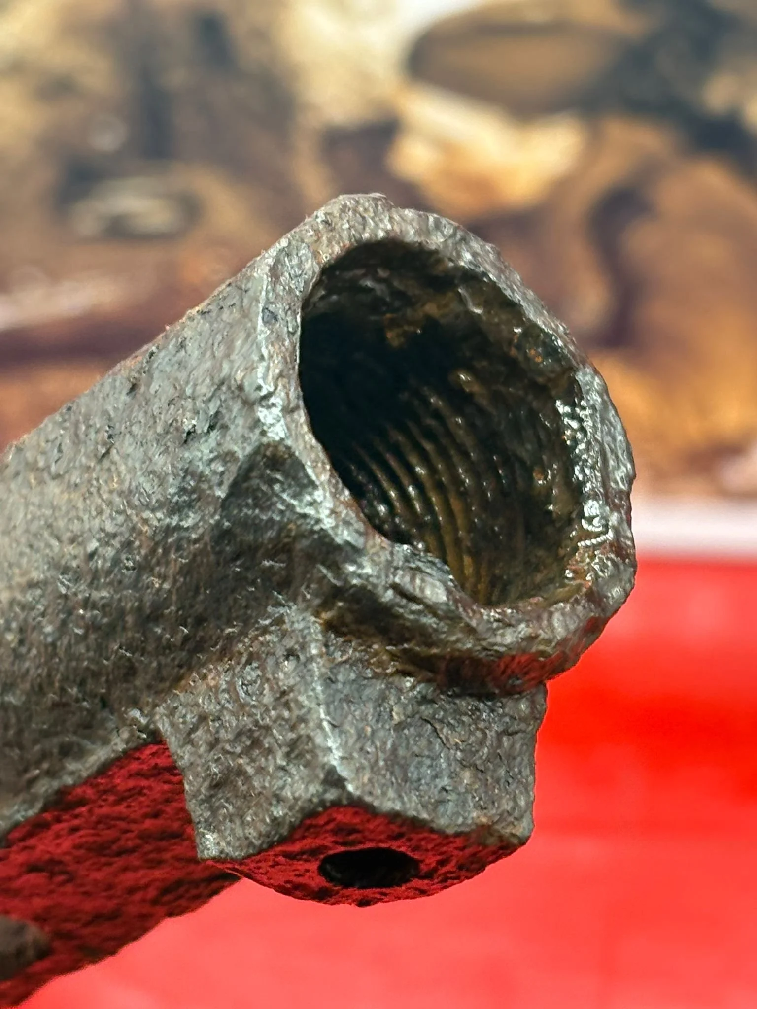 WhatsApp Image 2025-11-24 at 16.48.29.jpeg