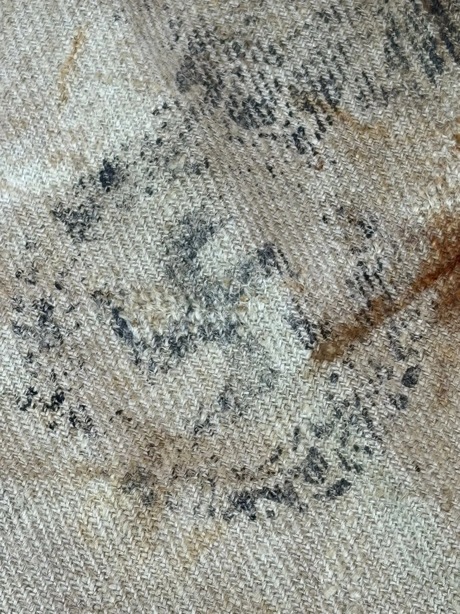 WhatsApp Image 2025-10-27 at 15.45.53 (3).jpeg