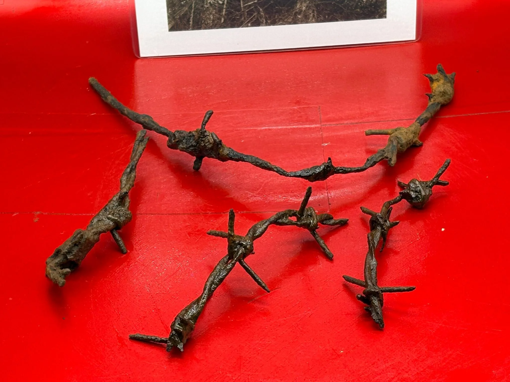 WhatsApp Image 2025-11-12 at 13.17.10 (4).jpeg