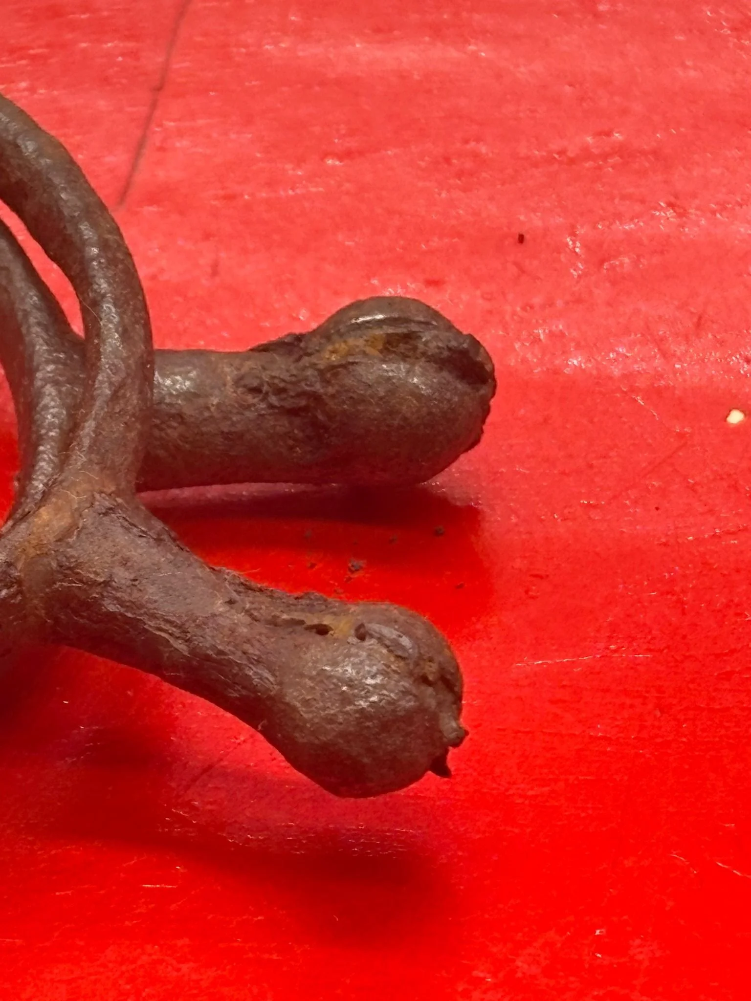 WhatsApp Image 2025-11-11 at 10.22.50 (3).jpeg