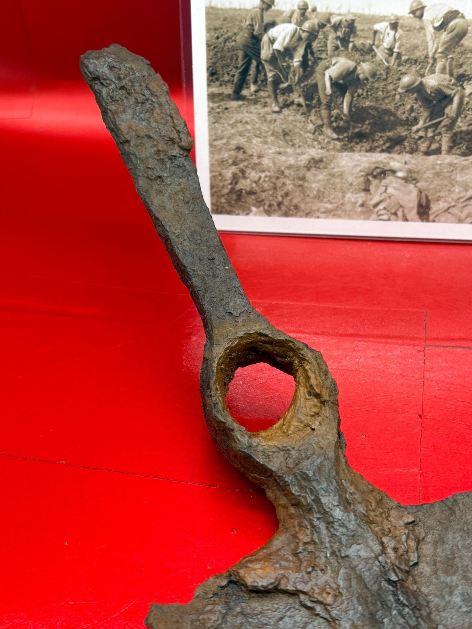 WhatsApp Image 2025-11-12 at 14.55.50 (2).jpeg