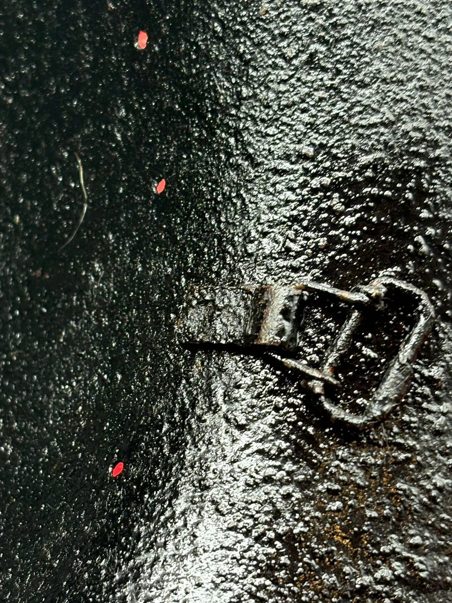 WhatsApp Image 2025-10-27 at 15.49.23 (2).jpeg