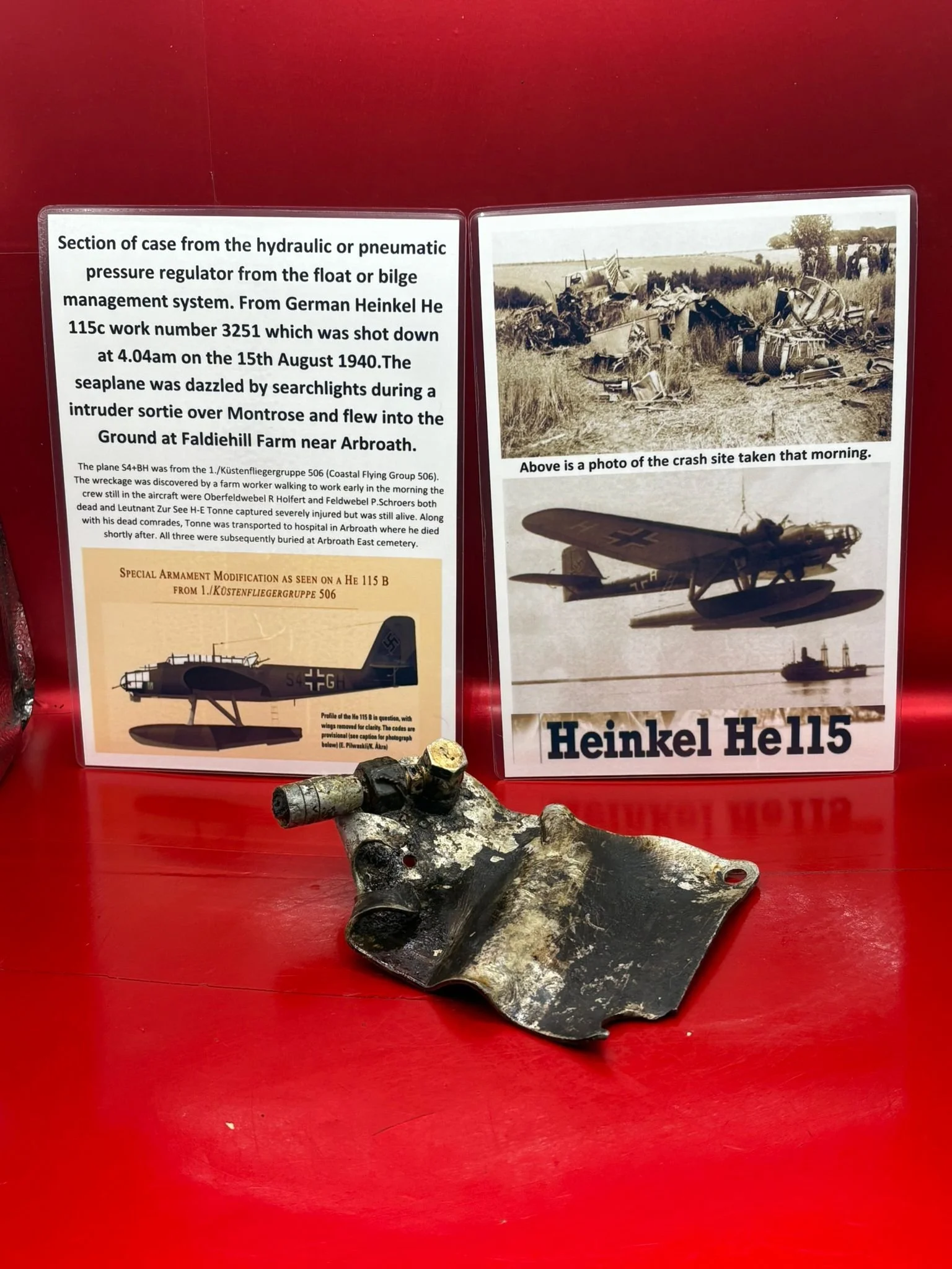 WhatsApp Image 2026-02-10 at 12.08.39.jpeg