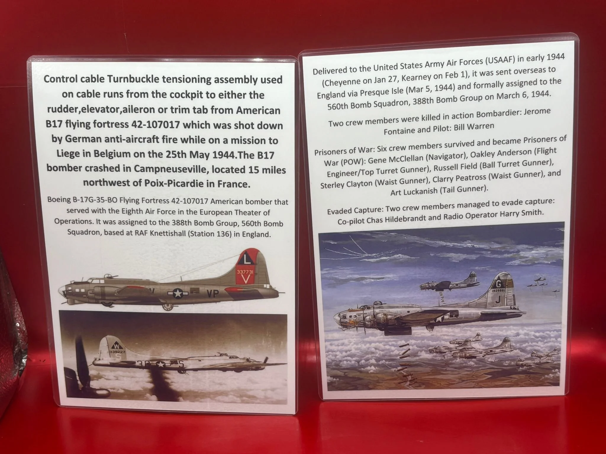 WhatsApp Image 2026-02-13 at 16.15.04.jpeg