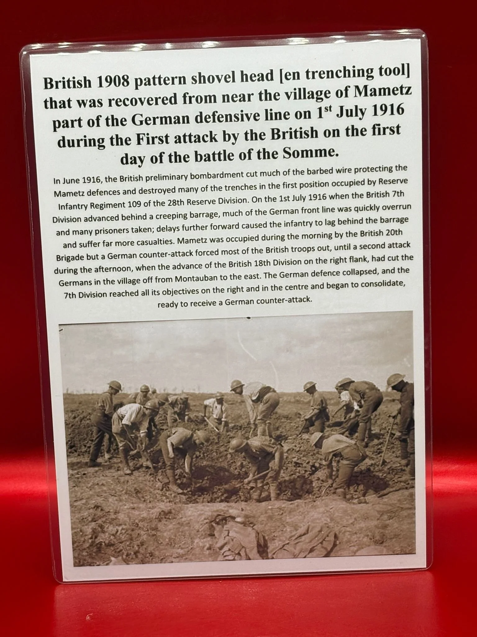 WhatsApp Image 2025-11-12 at 14.55.51.jpeg