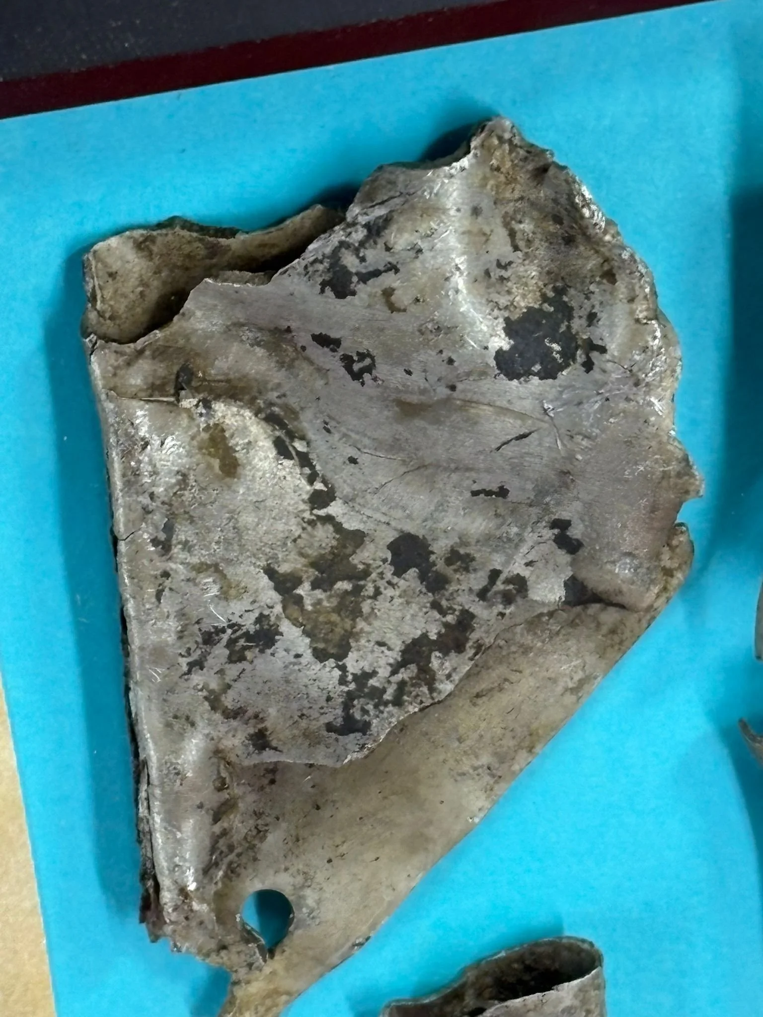 WhatsApp Image 2026-03-11 at 13.07.08 (2).jpeg