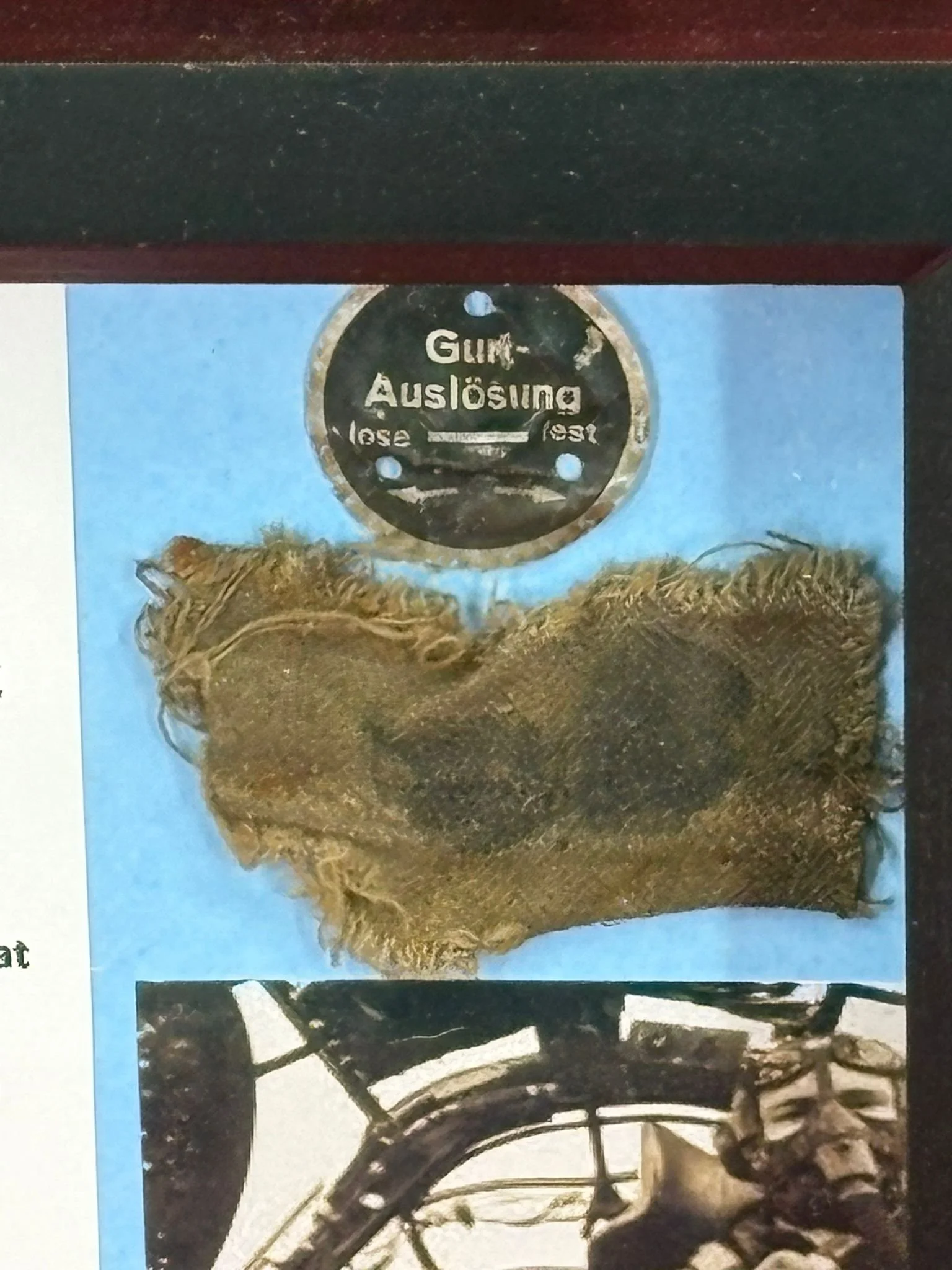 WhatsApp Image 2026-03-11 at 13.03.12 (3).jpeg