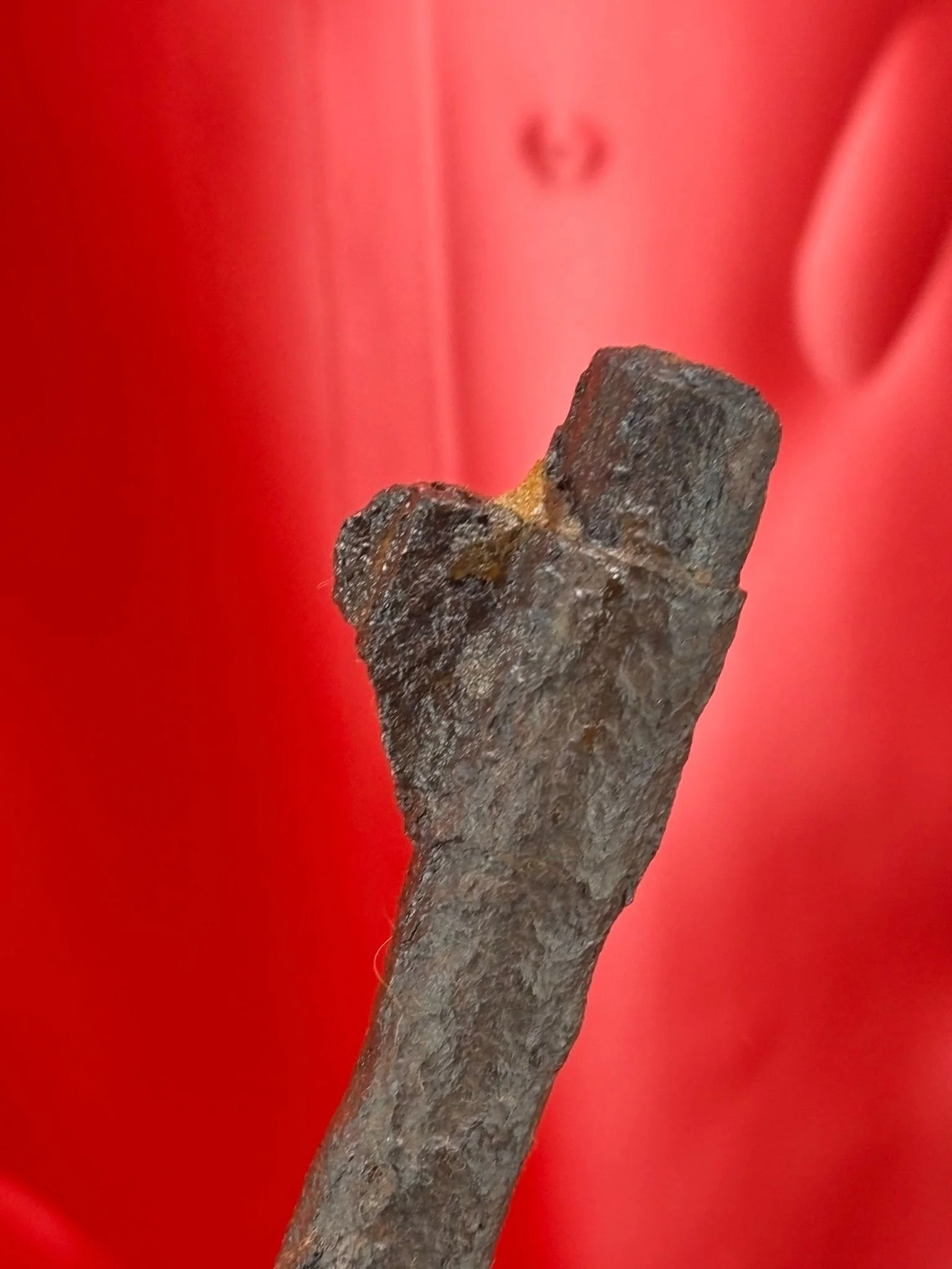 WhatsApp Image 2025-10-27 at 15.29.22 (4).jpeg