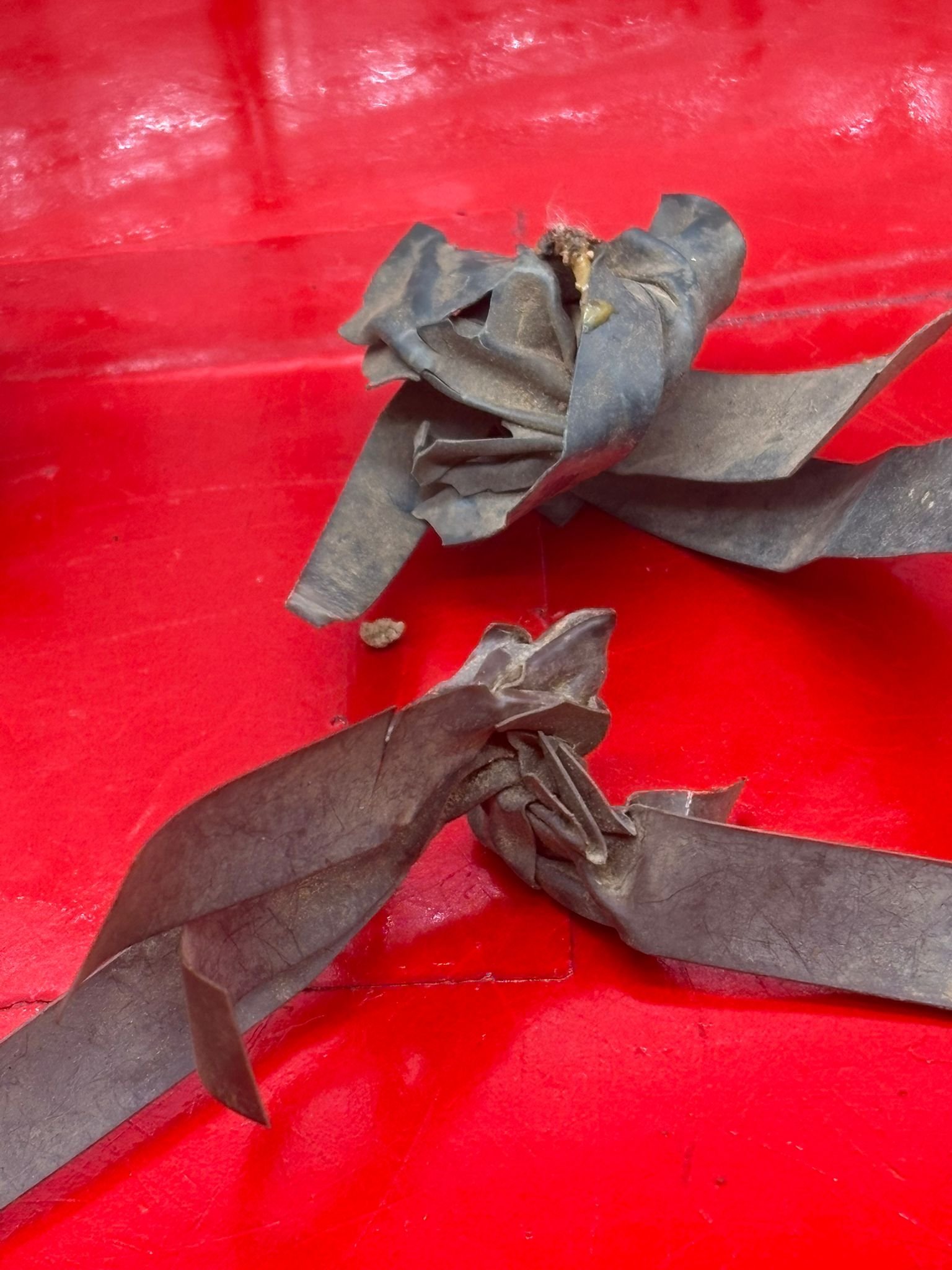 WhatsApp Image 2025-11-20 at 18.56.41 (2).jpeg