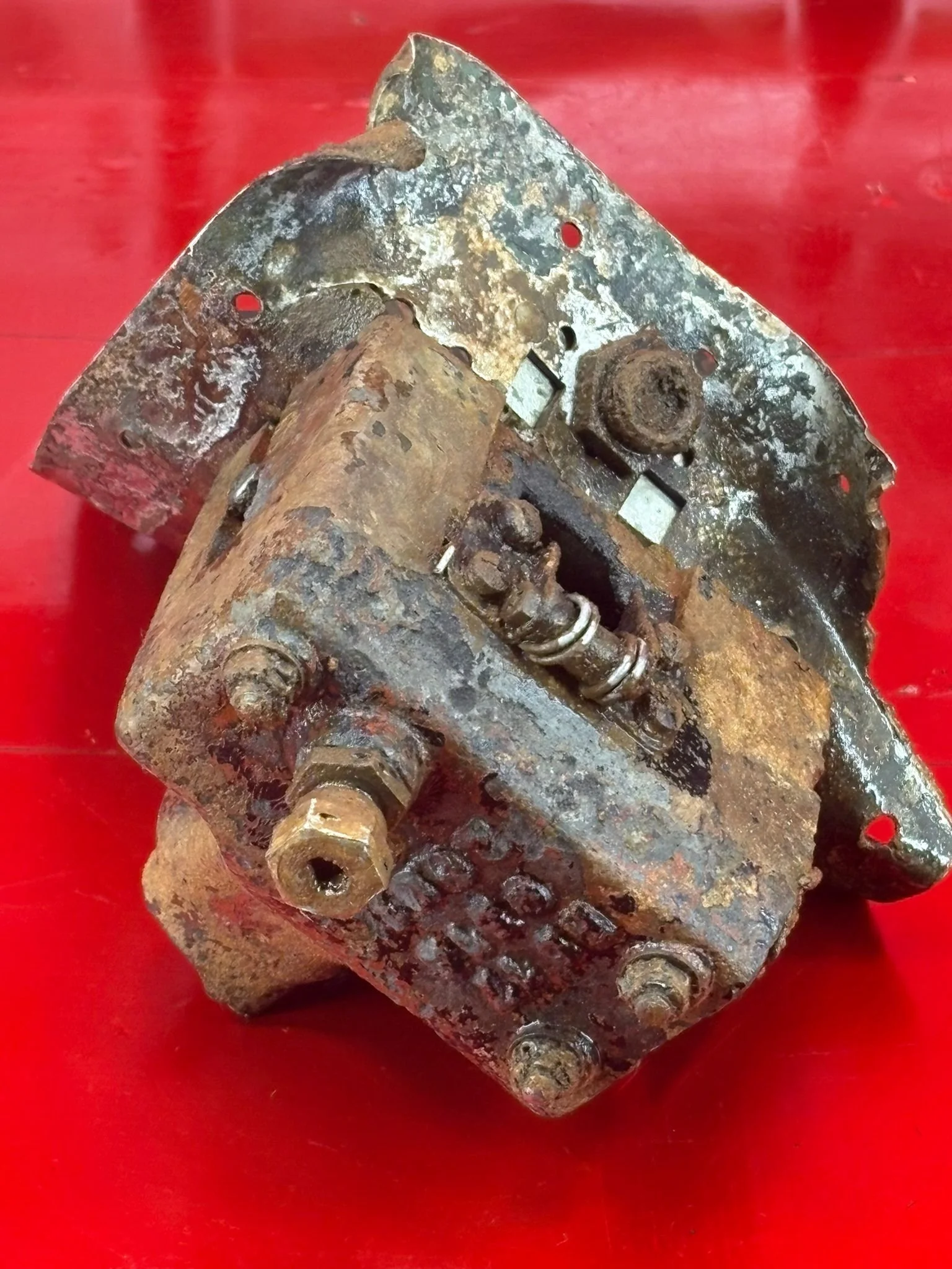 WhatsApp Image 2026-02-10 at 11.54.36 (2).jpeg