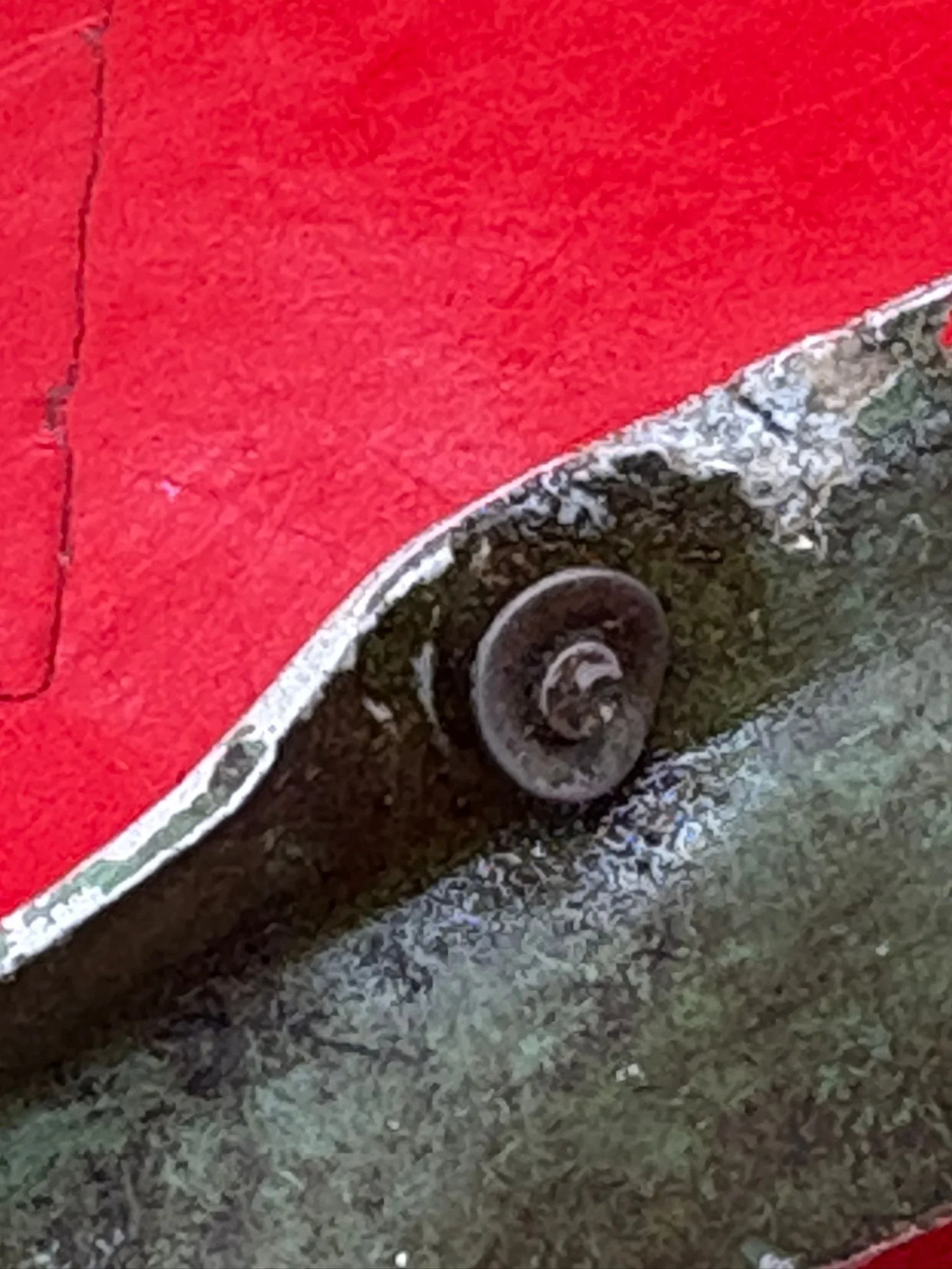 WhatsApp Image 2026-02-13 at 16.25.37.jpeg