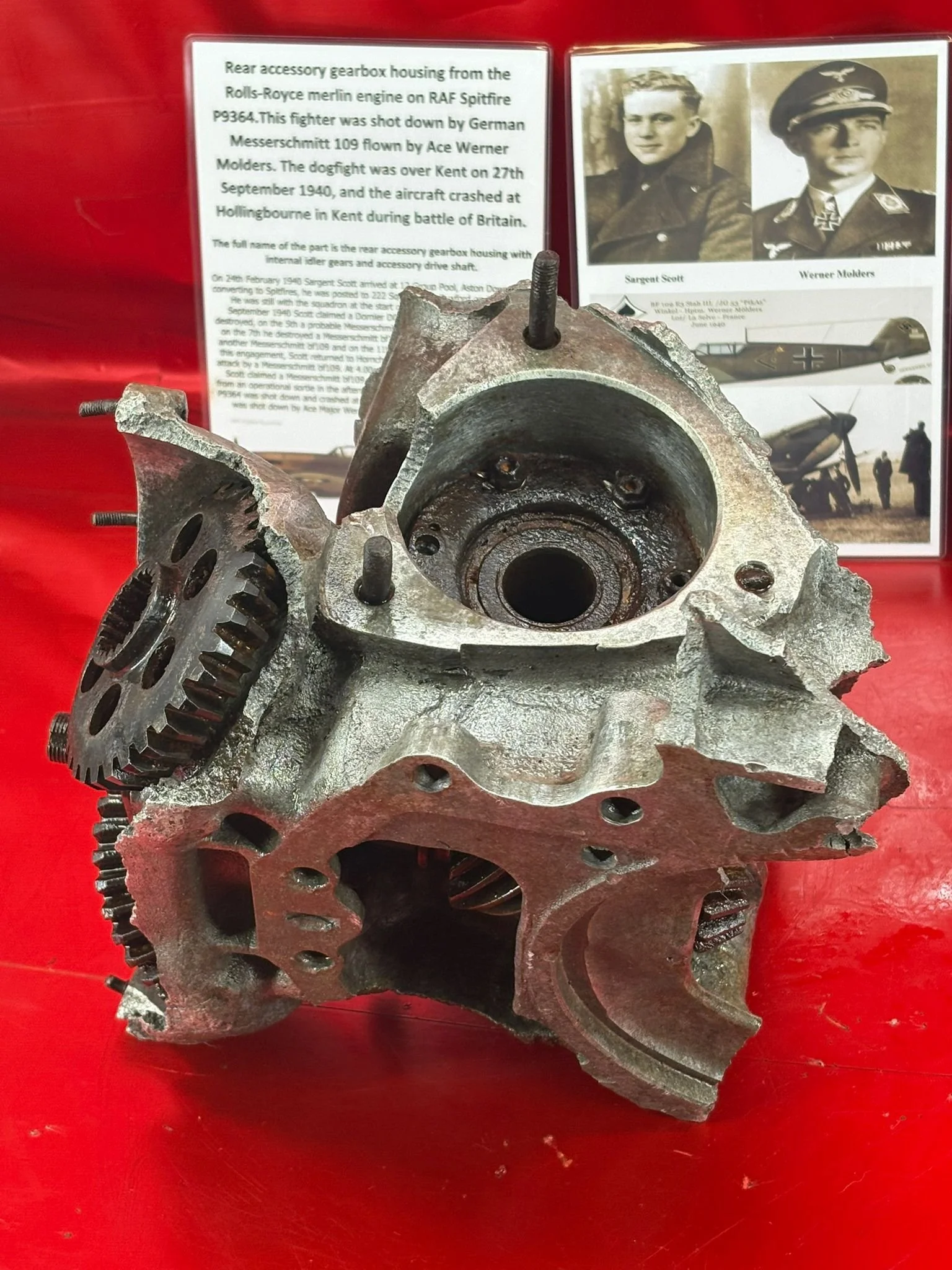 WhatsApp Image 2026-02-10 at 11.56.40 (2).jpeg