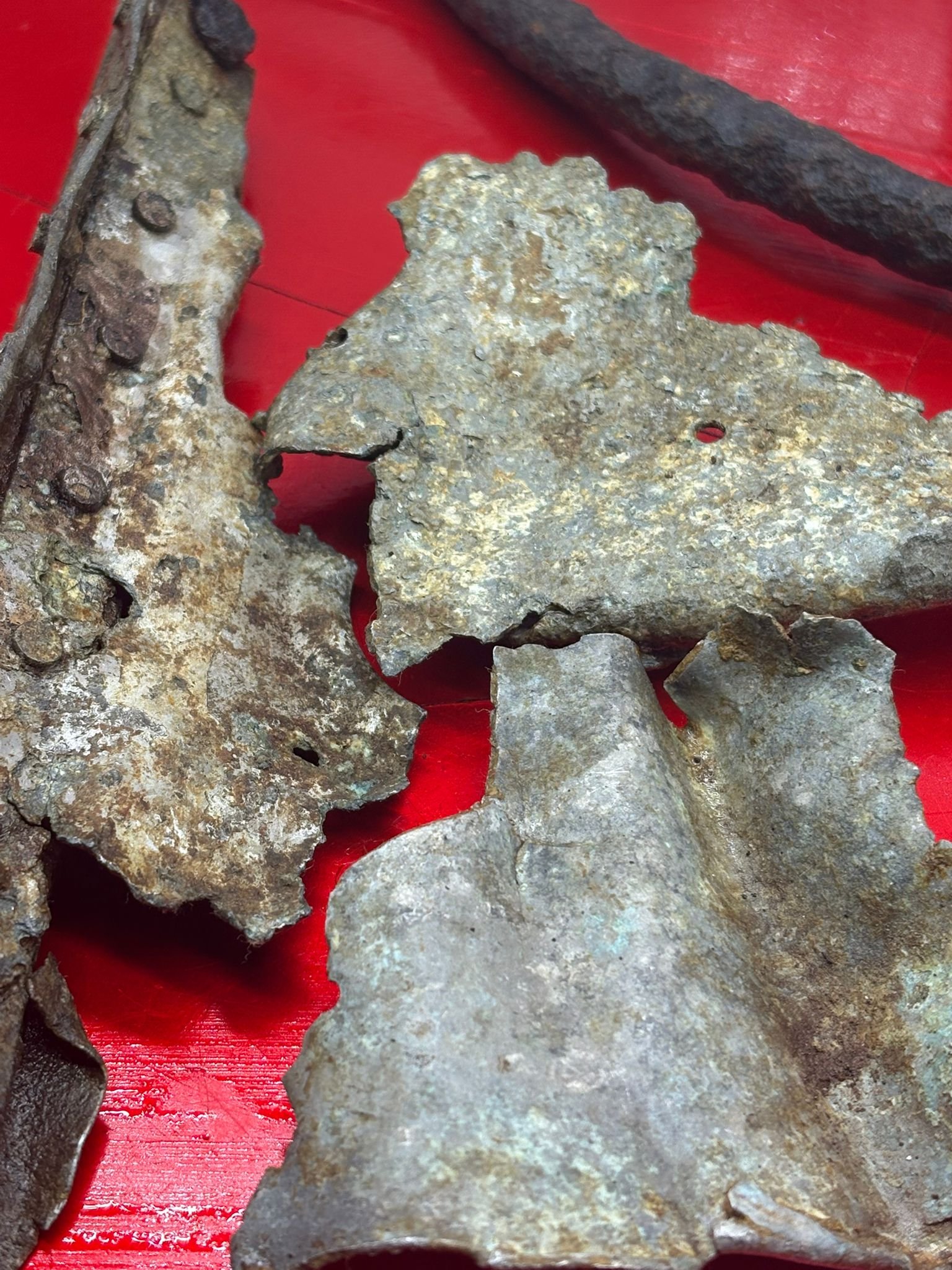 WhatsApp Image 2026-03-12 at 14.20.35.jpeg