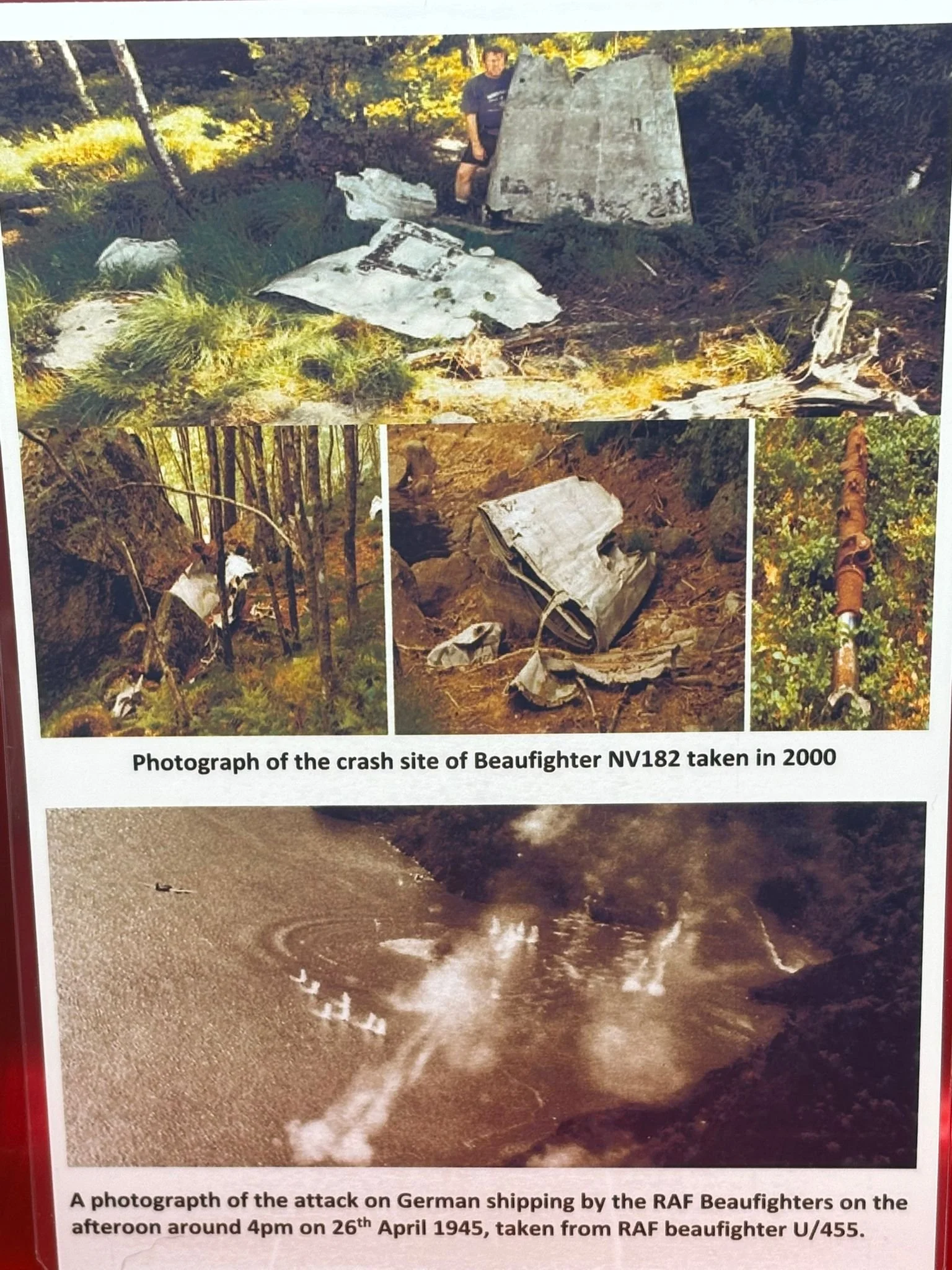 WhatsApp Image 2026-02-10 at 14.59.59 (5).jpeg