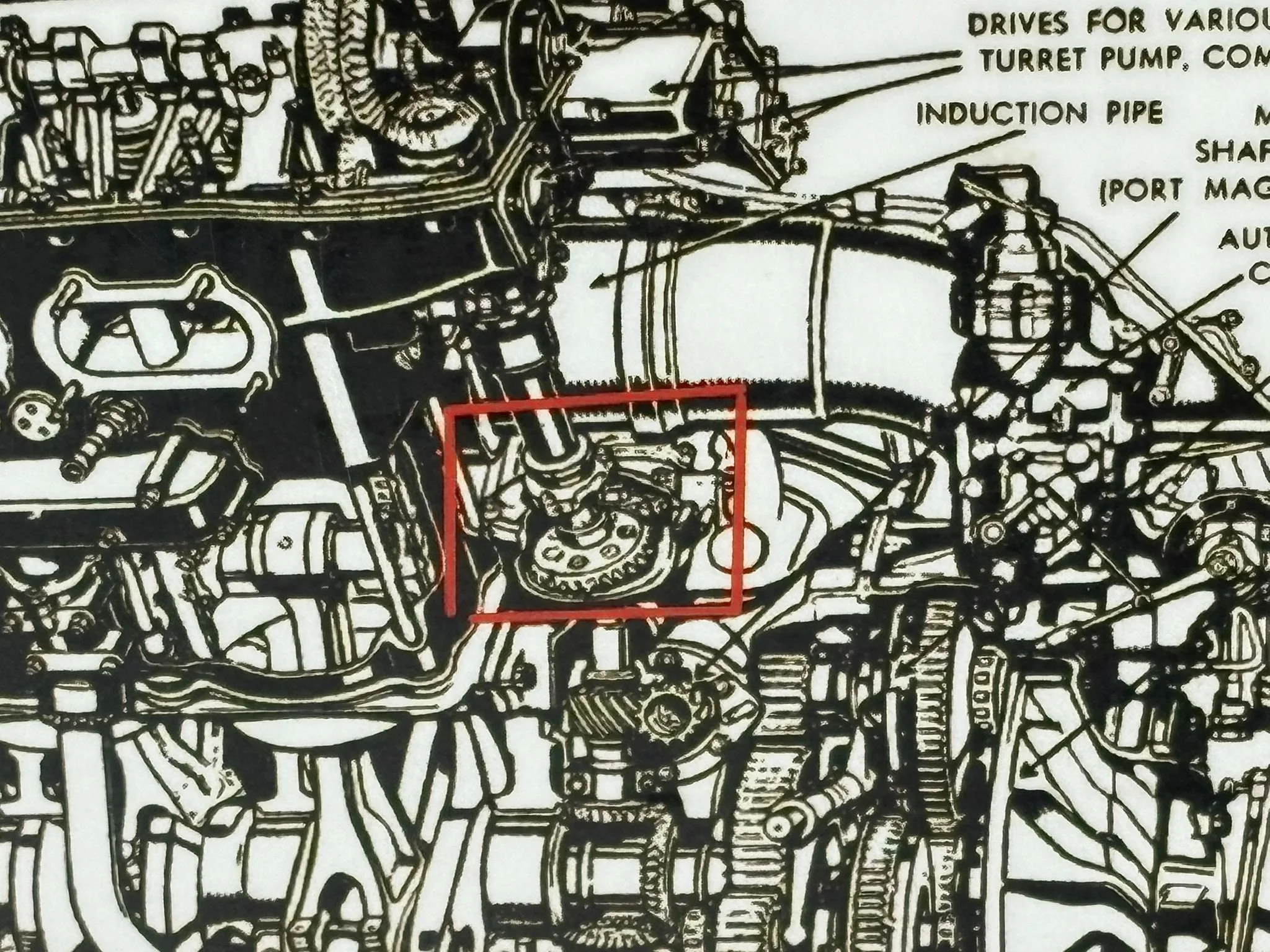 WhatsApp Image 2026-02-10 at 11.56.41 (3).jpeg